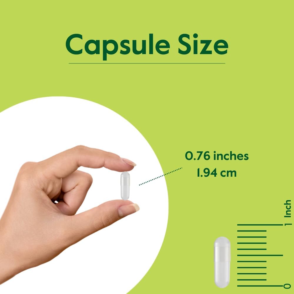 300mg Milk Thistle Capsules (240 Vegetarian) - 80% Silymarin Flavonoids - Vegan, Non-GMO, Gluten-Free - No Stearates - BoostGo Australia