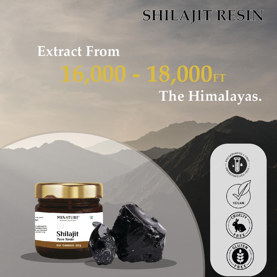 30g Pure Shilajit Resin with Over 80 Minerals and Amino Acids - Naturally Sourced Fulvic Acid Supplement