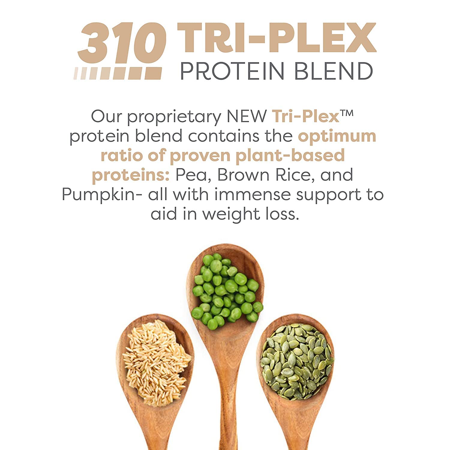 310 Nutrition All-In-One Meal Replacement Shake with Fiber Rich Vegan Superfood Blend - Natural Sweeteners - Low Carb, Keto, Paleo Friendly - Gluten Free - 26 Essential Vitamins & Minerals - Variety Pack - Chocolate Bliss