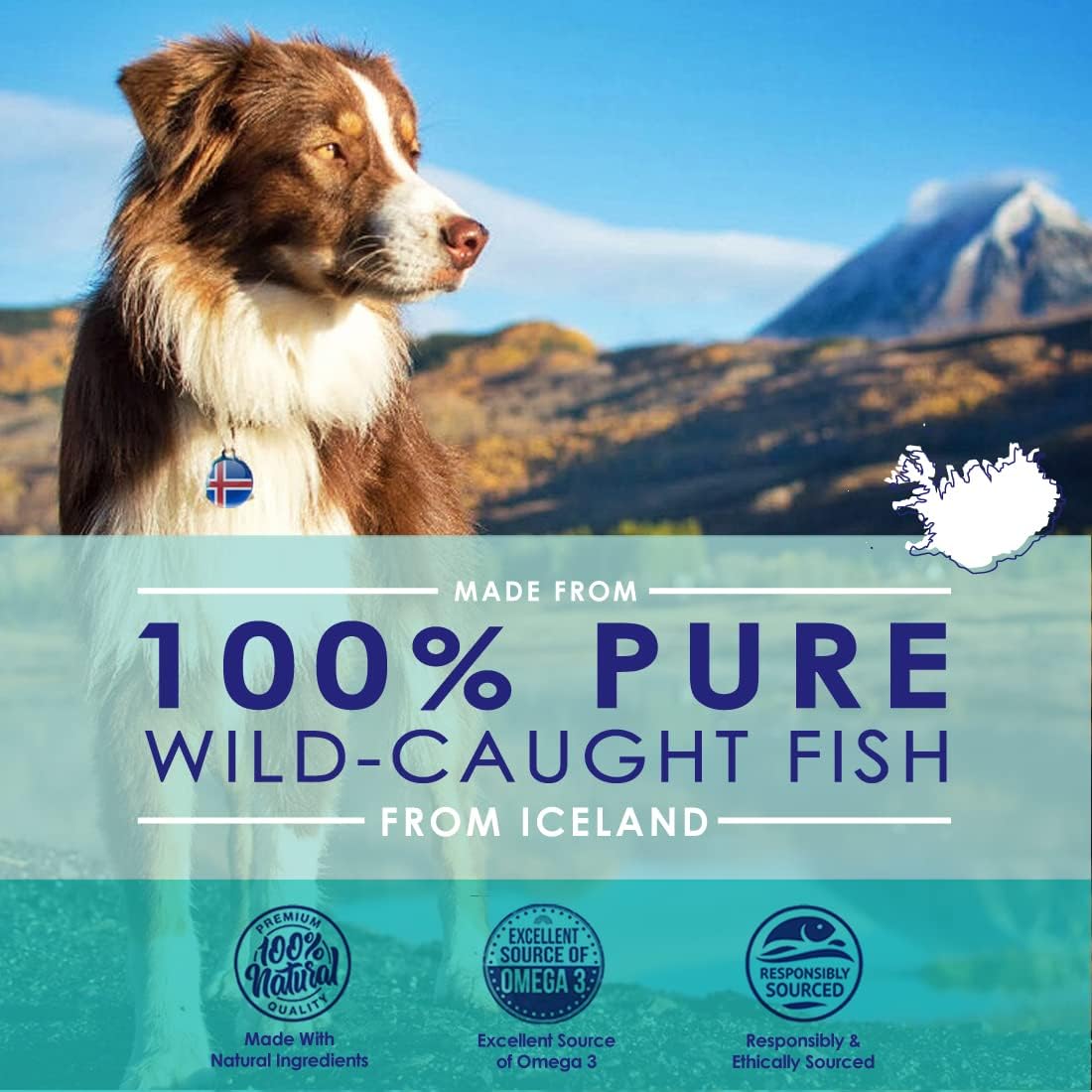 32 oz NuLife Natural Pet Health Liquid Fish Oil for Dogs | Omega 3, 6 & 9 Fatty Acids | Wild Caught from Iceland | Skin & Coat Supplement | Shedding, Itchy Skin, Allergies | Brain & Heart Health | EPA + DHA