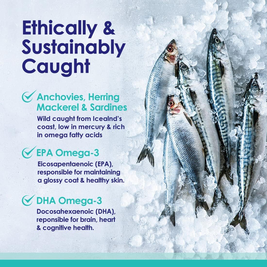 32 oz NuLife Natural Pet Health Liquid Fish Oil for Dogs | Omega 3, 6 & 9 Fatty Acids | Wild Caught from Iceland | Skin & Coat Supplement | Shedding, Itchy Skin, Allergies | Brain & Heart Health | EPA + DHA