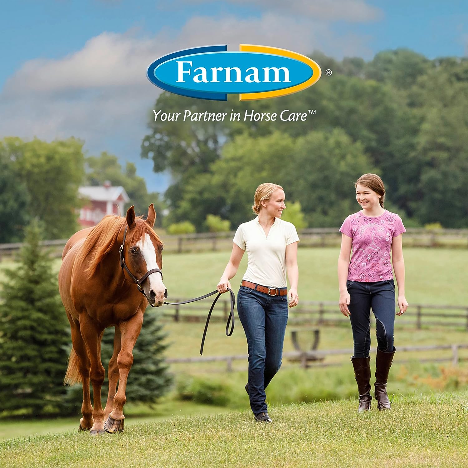 32.5 ml Farnam Quietex II Horse Calming Supplement Paste - Manage Nervous Behavior & Keep Horses Calm in Stressful Situations
