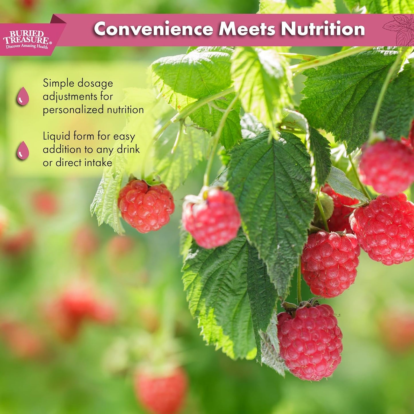 32oz Buried Treasure Fulvic Mineral Complex in Natural Raspberry Flavor - 70+ Plant Derived Minerals, Non-GMO, Electrolyte Replacement, Vegetarian-Friendly