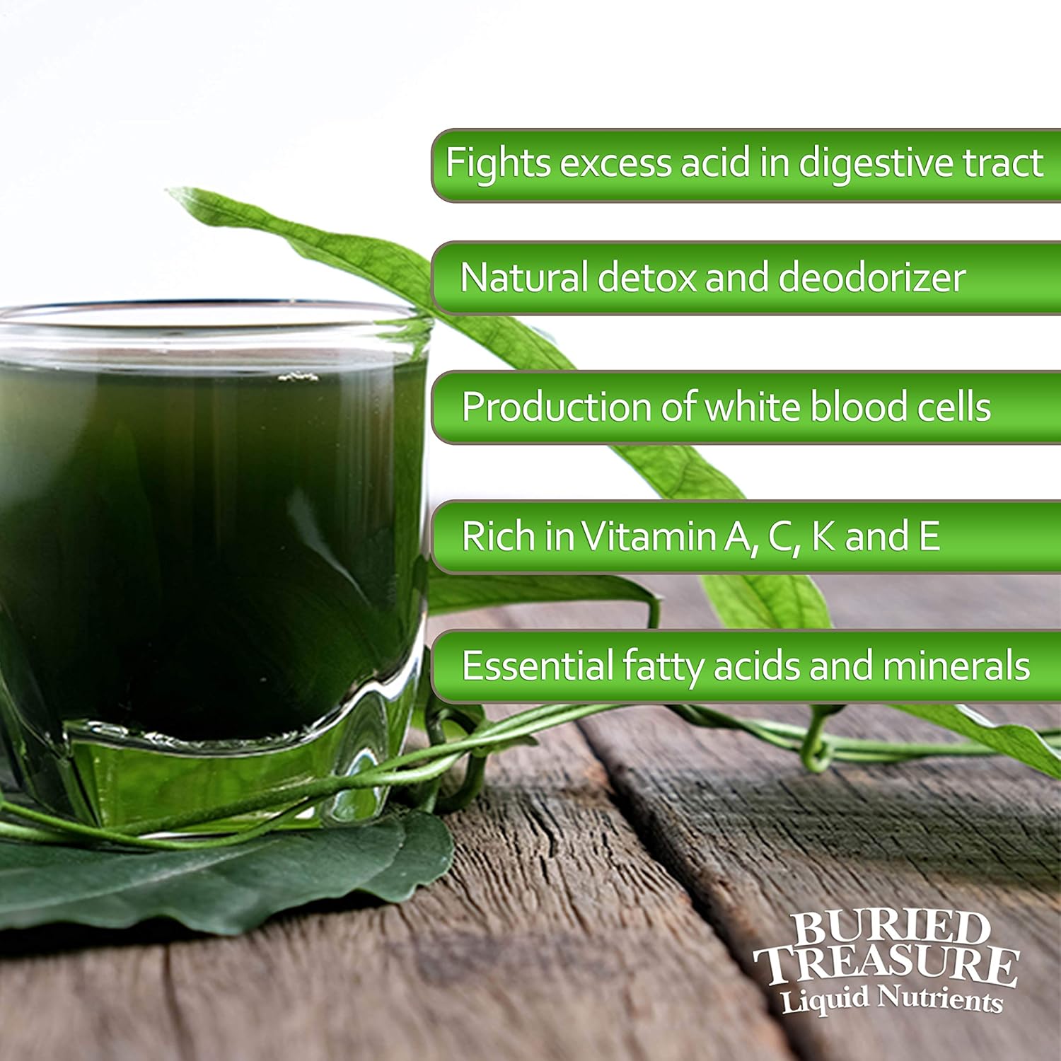 32oz Spearmint Liquid Chlorophyll Dietary Supplement for Intestinal Digestive Support - Vegan, Non-GMO, Alcohol-Free