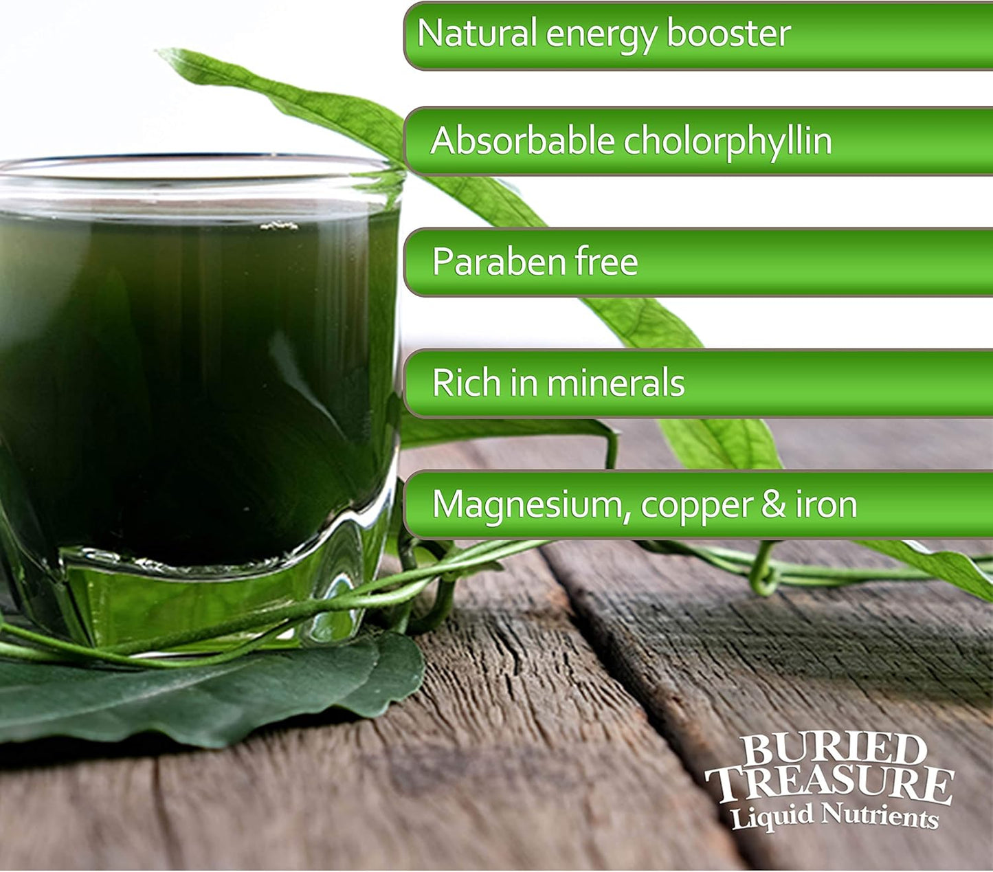 32oz Spearmint Liquid Chlorophyll Dietary Supplement for Intestinal Digestive Support - Vegan, Non-GMO, Alcohol-Free