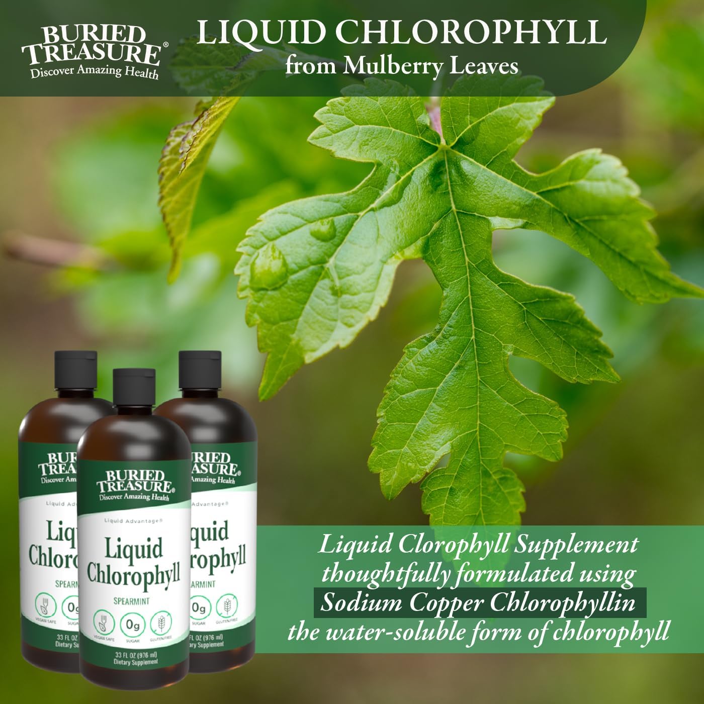 32oz Spearmint Liquid Chlorophyll Dietary Supplement for Intestinal Digestive Support - Vegan, Non-GMO, Alcohol-Free