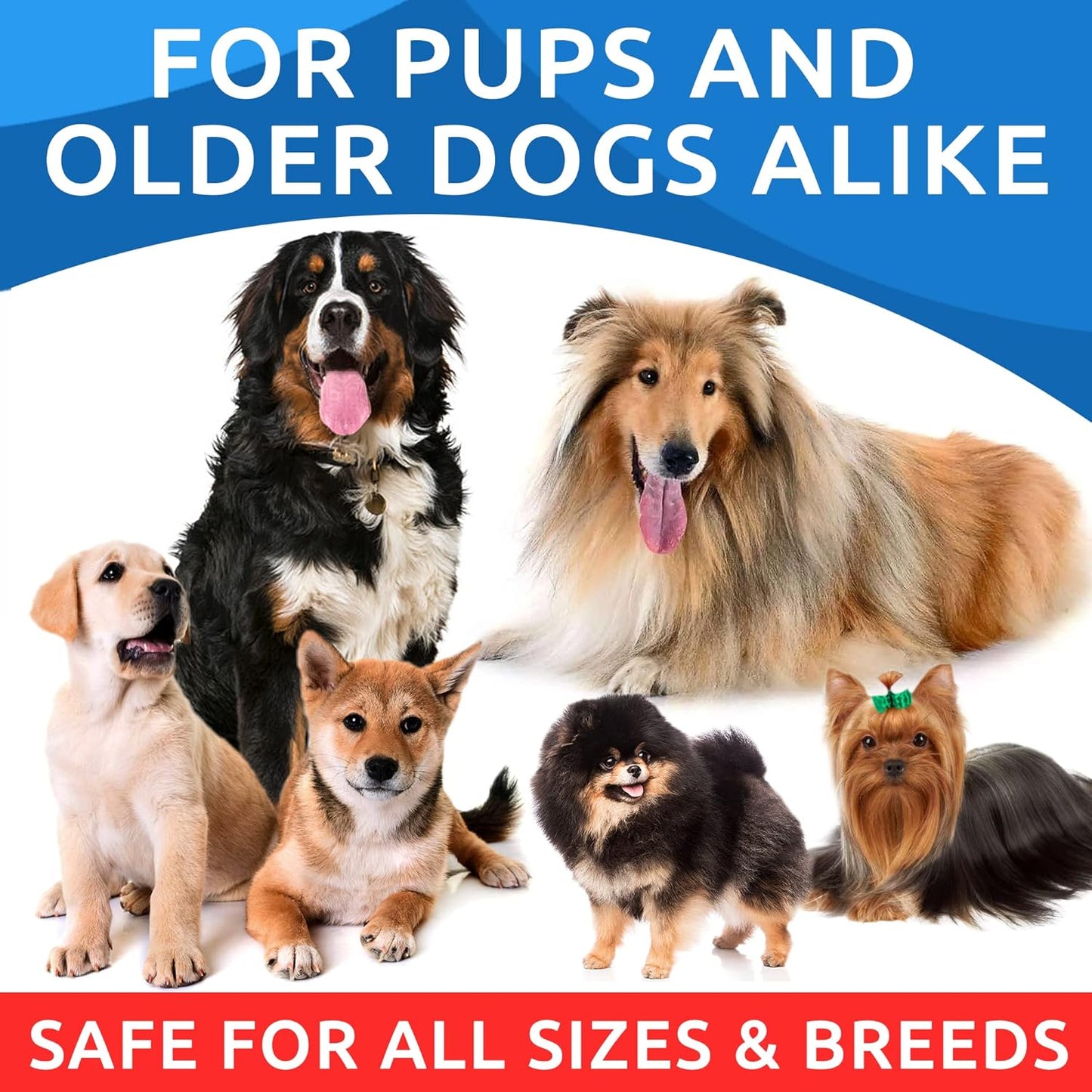 360 Bacon-Flavored Fish Oil Treats for Dogs with Omega 3 EPA & DHA Fatty Acids for Skin and Coat Health, Shedding, Allergy Relief, and Joint Support