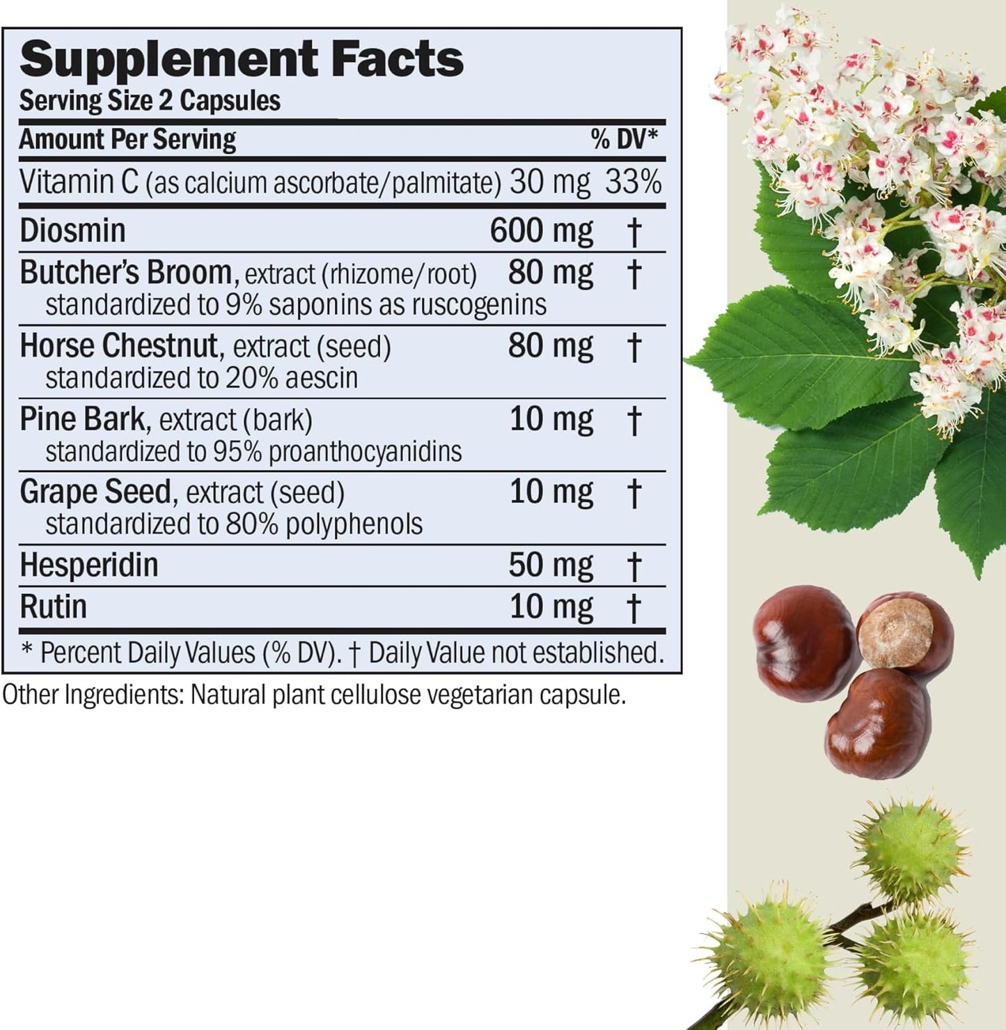 360 Capsules Andrew Lessman Circulation & Vein Support - High Bioactivity Diosmin & Butcher's Broom - Reduces Swelling & Discomfort in Legs - BoostGo Australia