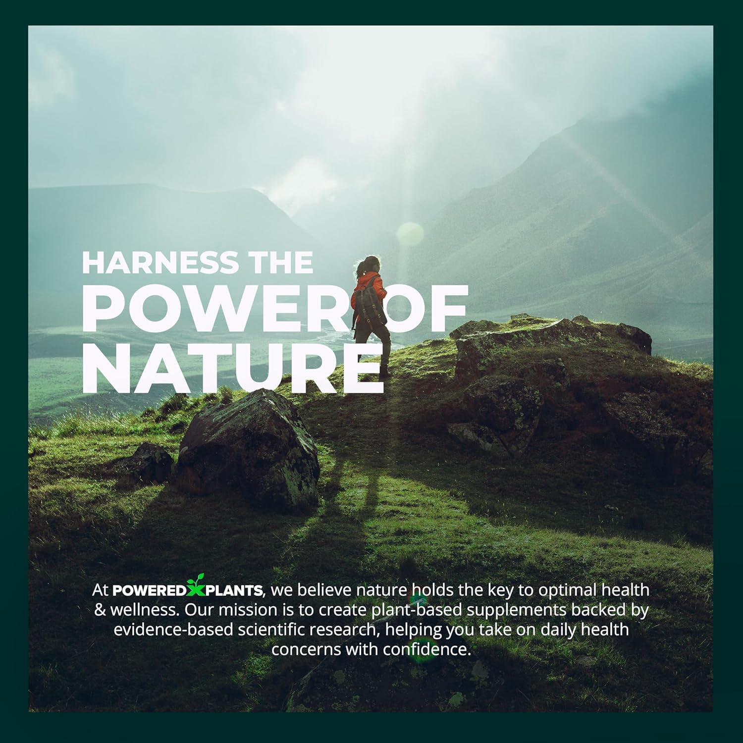 360 Capsules Daily Fruits and Veggies Supplement - Non GMO & Gluten Free Superfood with Natural Vitamins - 60 Days Supply - Plant-Powered Formula - BoostGo Australia