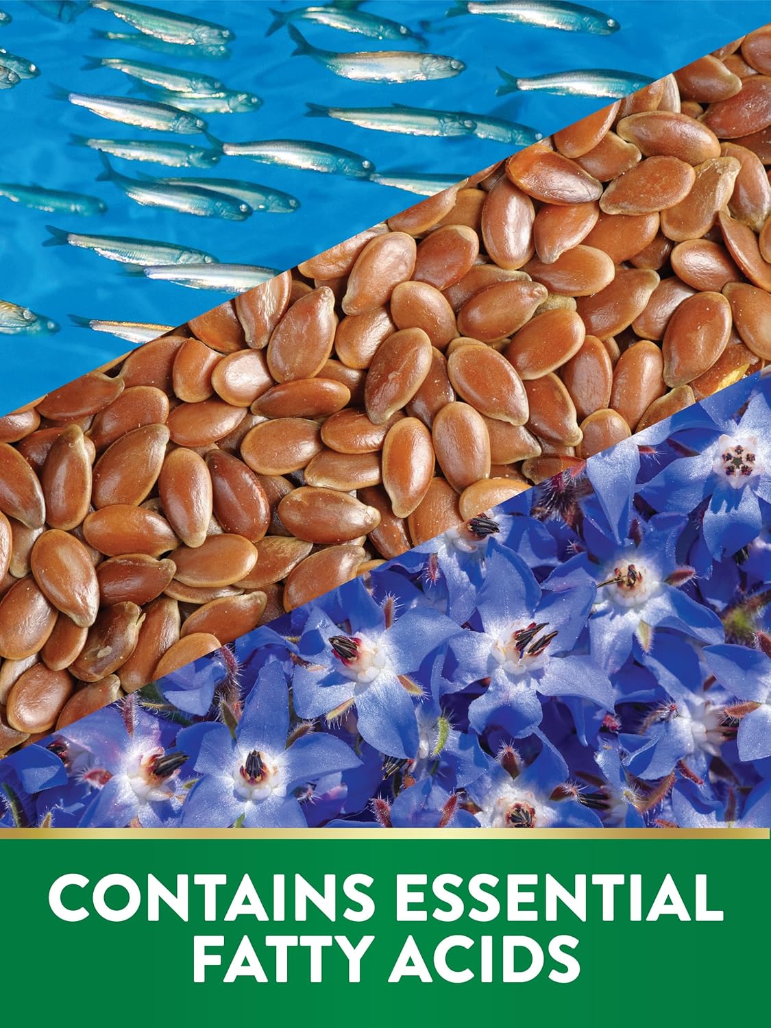 3600mg Omega 3-6-9 Softgels with Fish, Flax, & Borage Oil - 120 Count | Triple Strength Non-GMO & Gluten Free Supplement