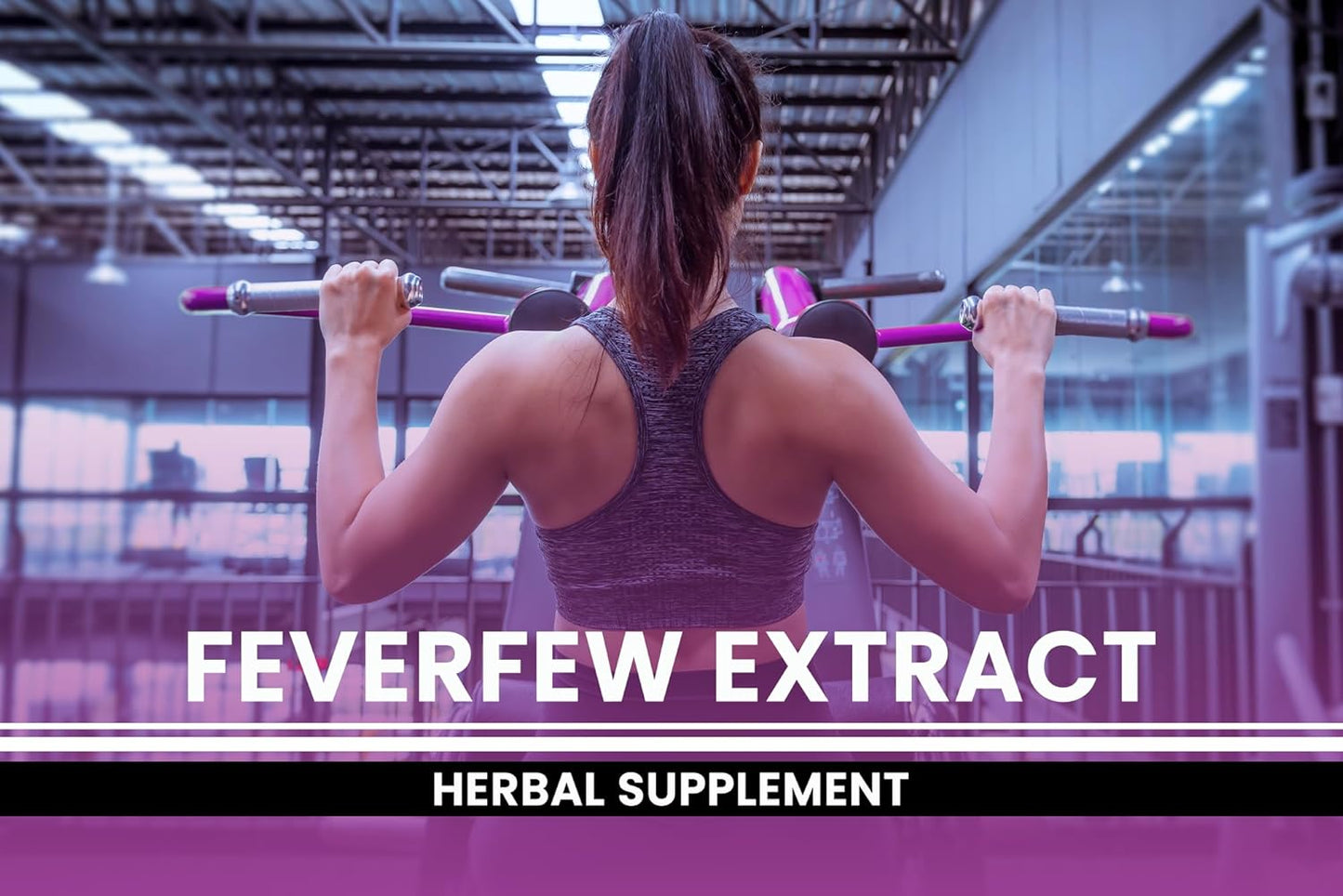 365 Capsules Feverfew Extract - Pure Ingredients, No Fillers - Lab Verified