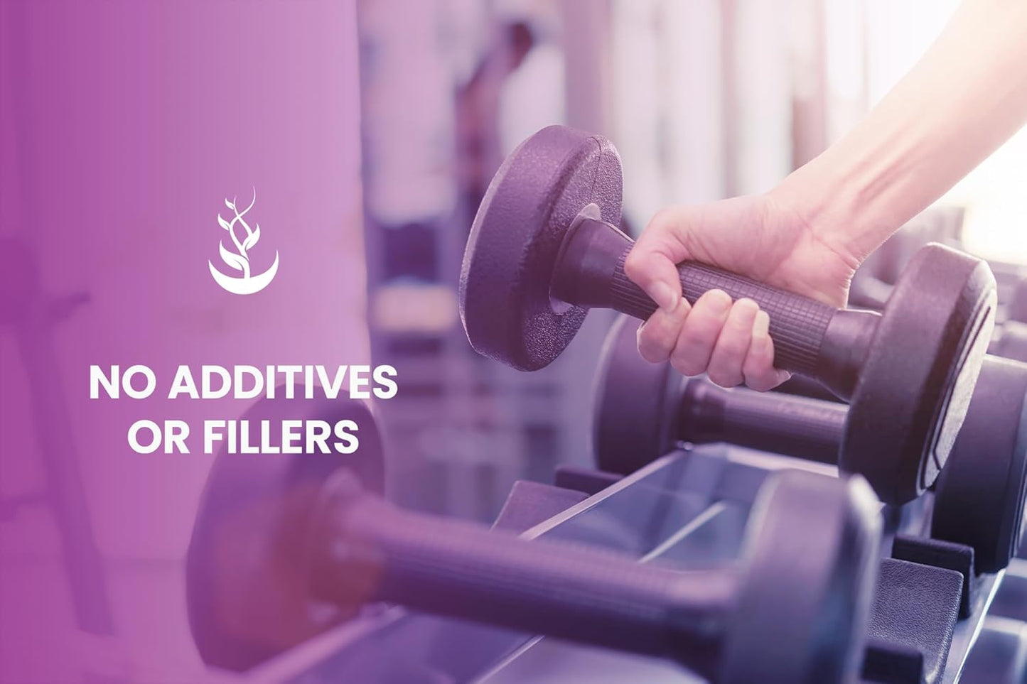 365 Capsules Feverfew Extract - Pure Ingredients, No Fillers - Lab Verified