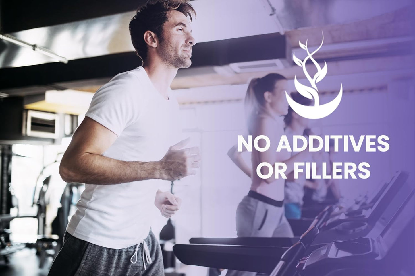 365 Capsules of DMAE Bitartrate with Pure Original Ingredients, Lab Verified, No Magnesium or Rice Fillers