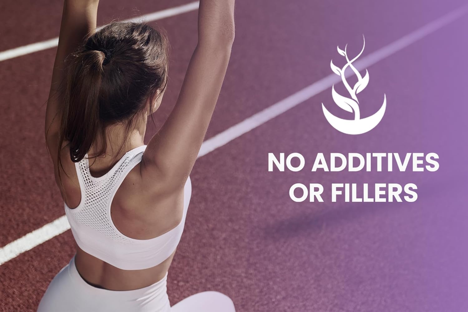 365 Capsules of Pure Astragalus with Original Ingredients - No Magnesium or Rice Fillers - Lab Verified & Always Pure