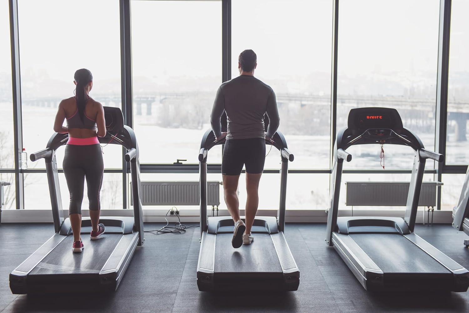 365 Capsules of Pure Astragalus with Original Ingredients - No Magnesium or Rice Fillers - Lab Verified & Always Pure