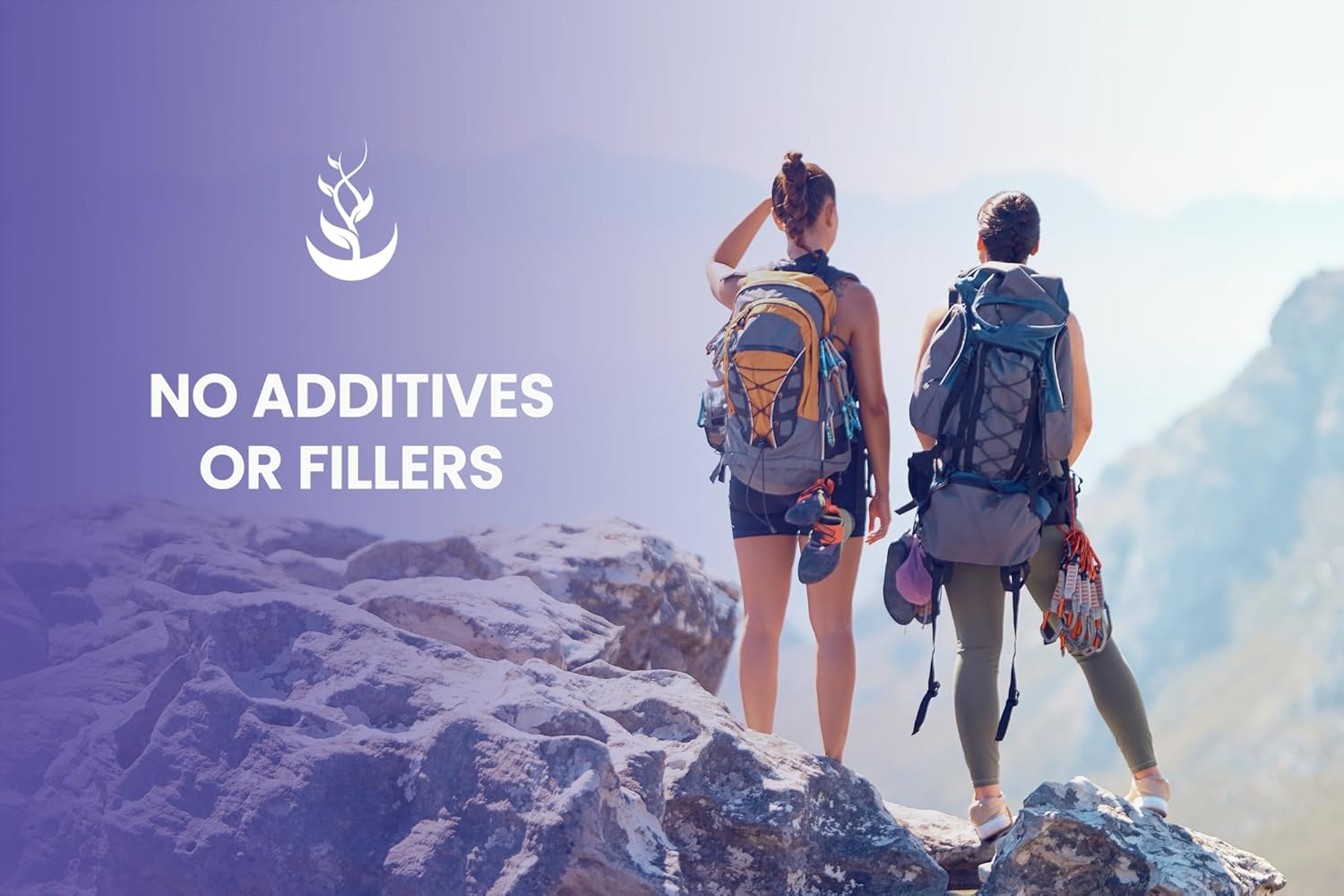 365 Capsules of Pure Bilberry Extract with Original Ingredients - No Fillers, Lab Verified