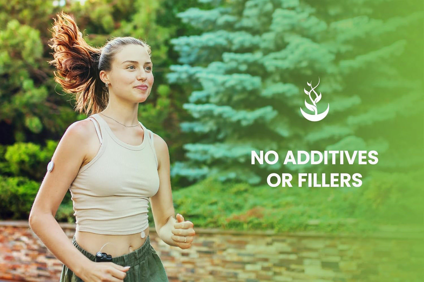 365 Capsules of Pure Celery Seed with No Magnesium or Rice Fillers - Lab Verified & Always Pure