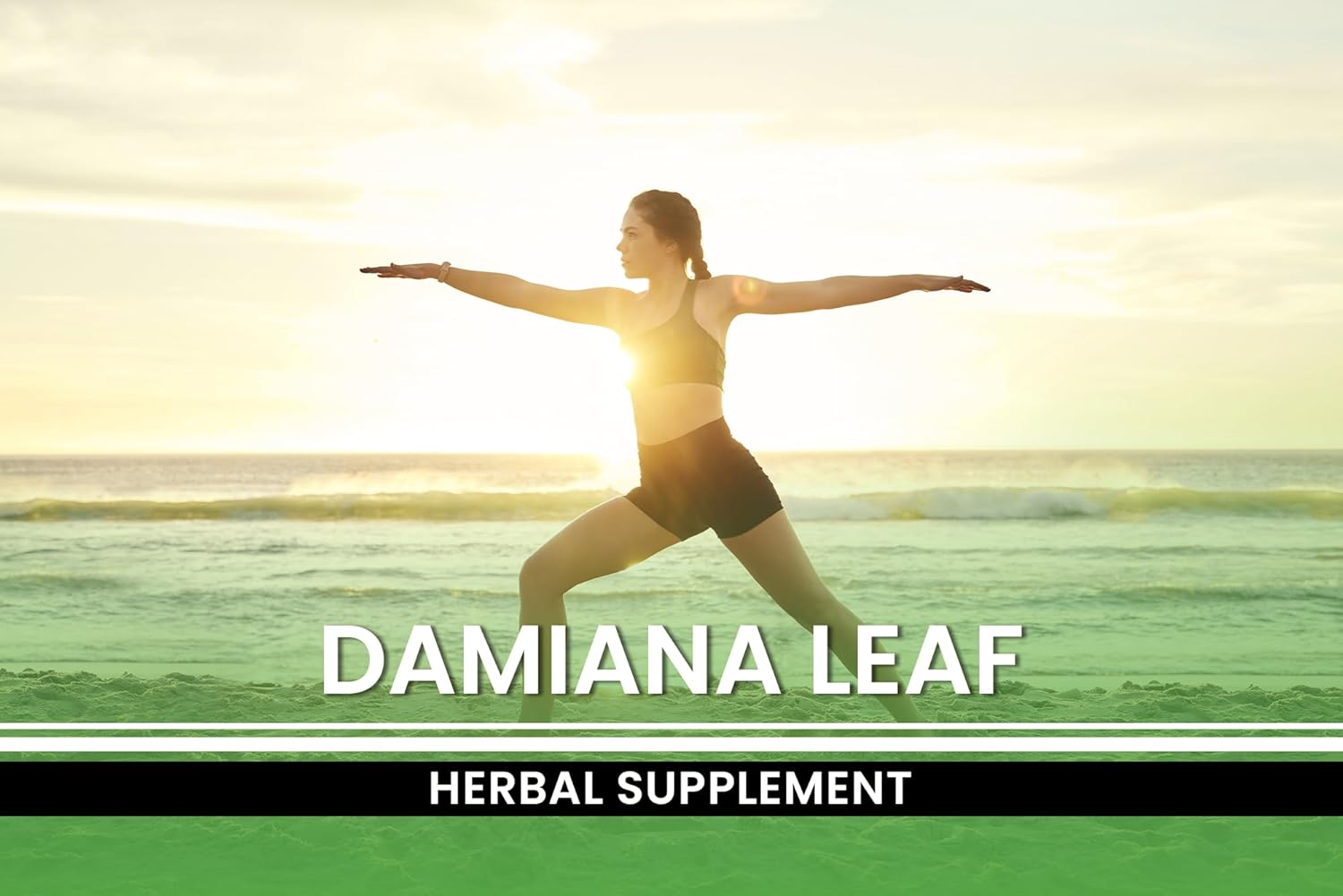 365 Capsules of Pure Chlorella with Original Ingredients, Lab Verified & Free of Magnesium and Rice Fillers