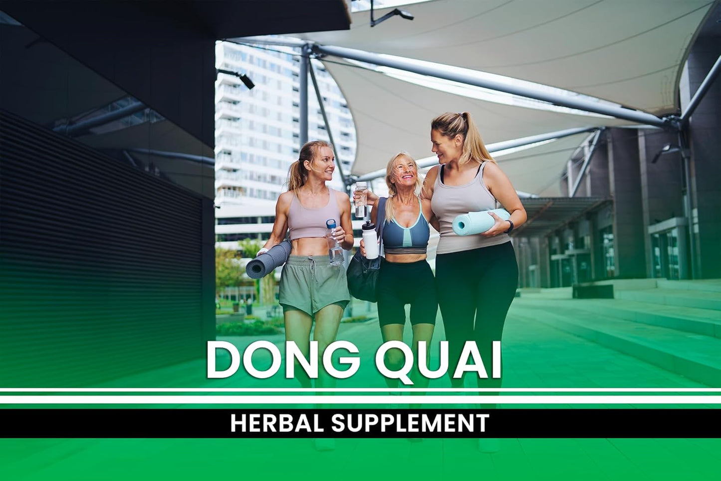 365 Capsules of Pure Dong Quai - No Magnesium or Rice Fillers - Lab Verified