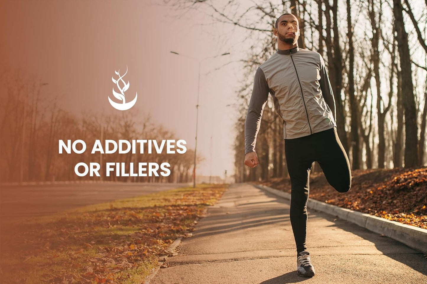 365 Capsules Pure Turkey Tail Mushroom - No Magnesium or Rice Fillers - Lab Verified