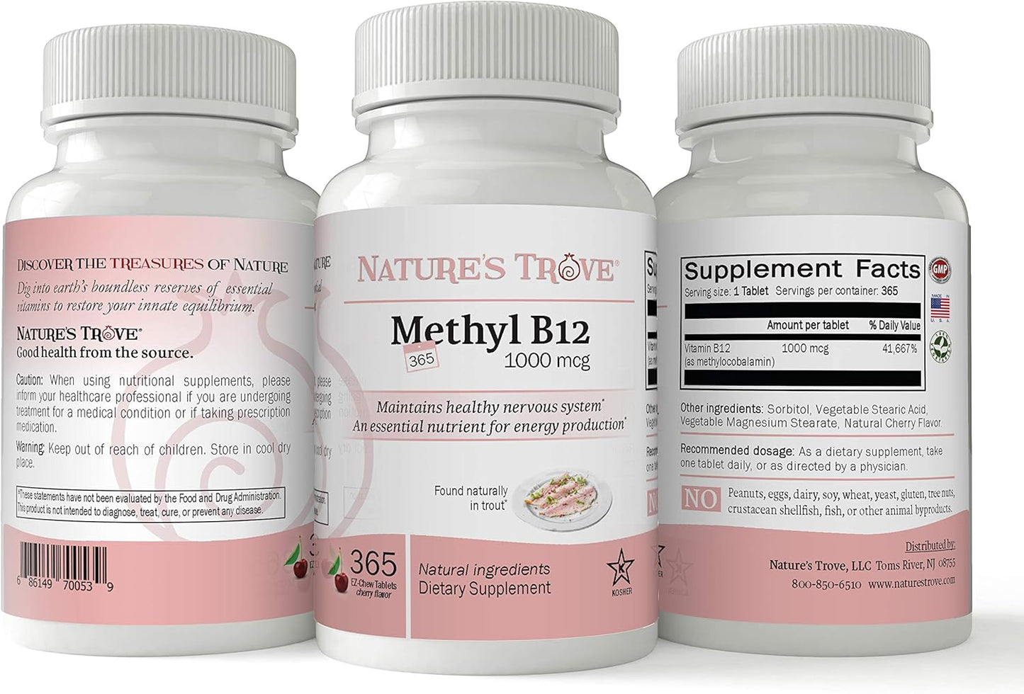 365 Count Nature's Trove Vitamin B12 Methylcobalamin 1000 mcg Chewable Cherry Flavor Tablets