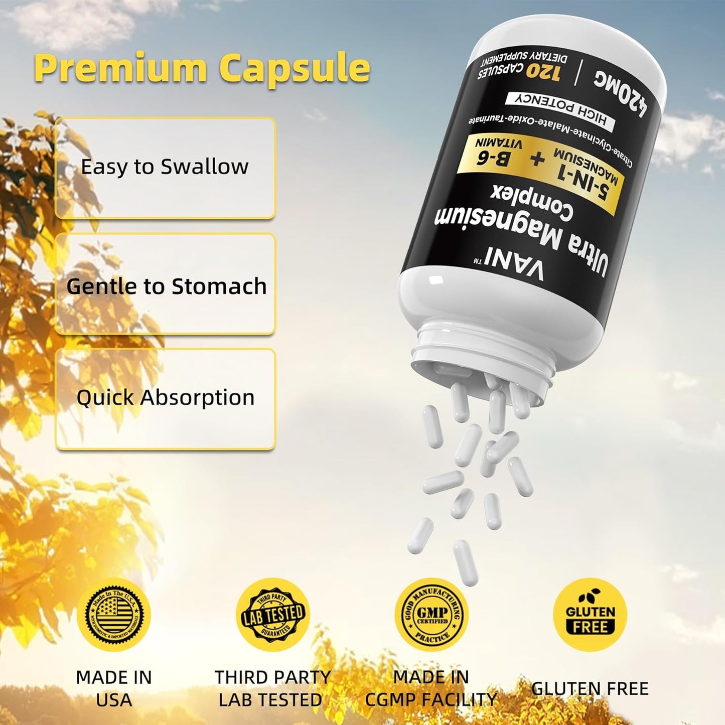 4 Month Supply VANI Magnesium Complex 5-in-1 with B6 Vitamin - 420 mg, High Absorption - 120 Capsules