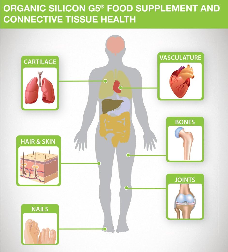 4-Pack G5 Organic Silicon Liquid Novel Food Supplement - 4 Liters