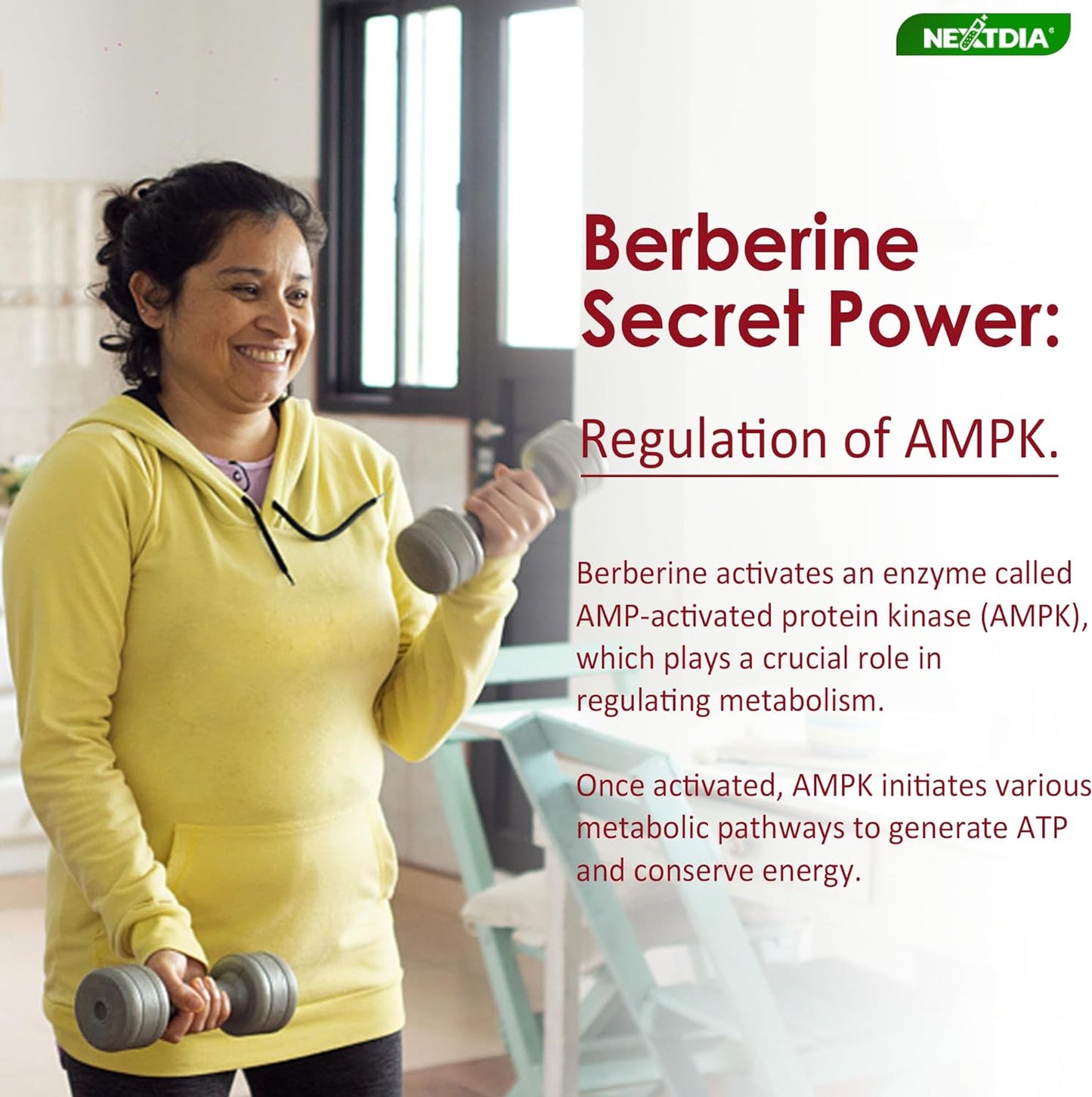 4-Pack Vegan Vitamin D3 5000IU K2 & Berberine Supplement 1500mg Gummies