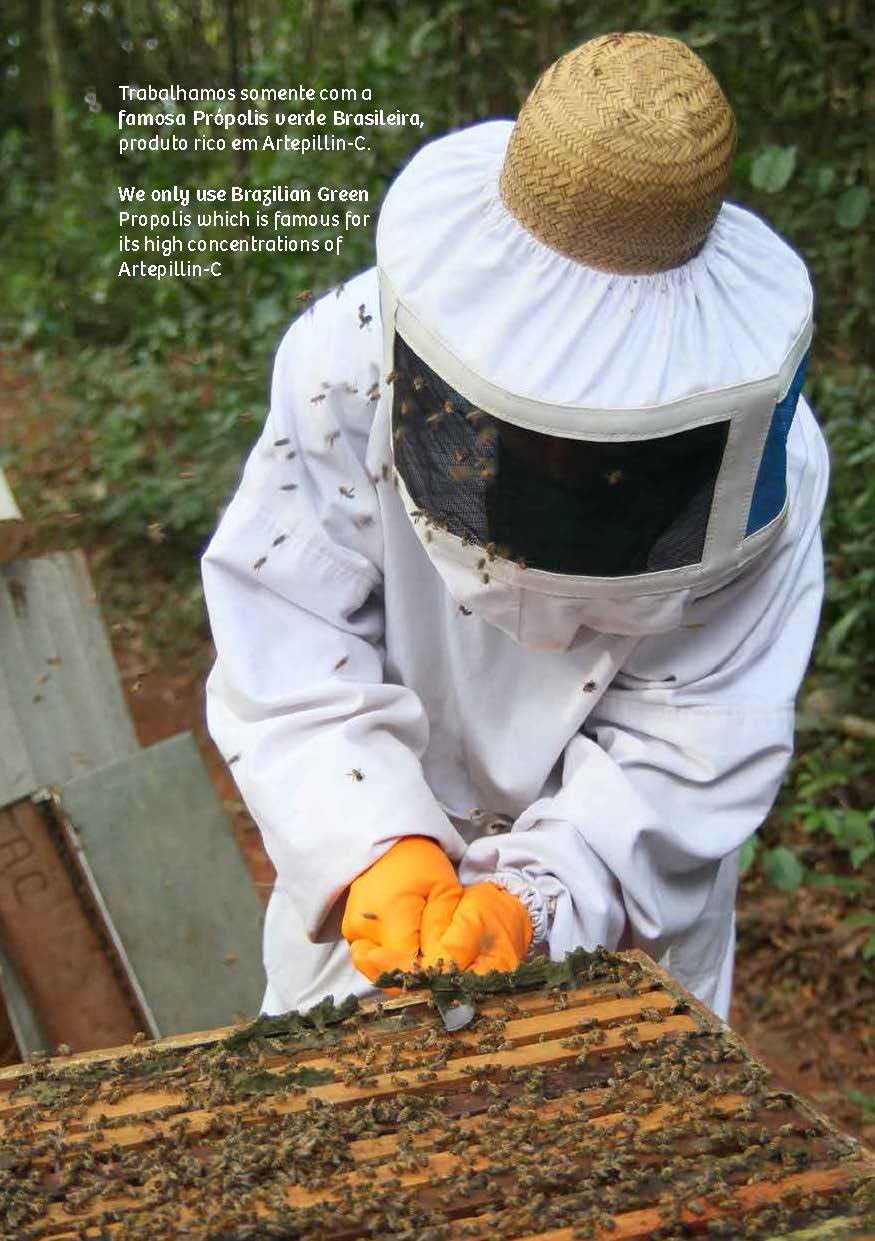 4 Packs of Wax Green Bee Propolis 500mg (240 Capsules) from Brazil