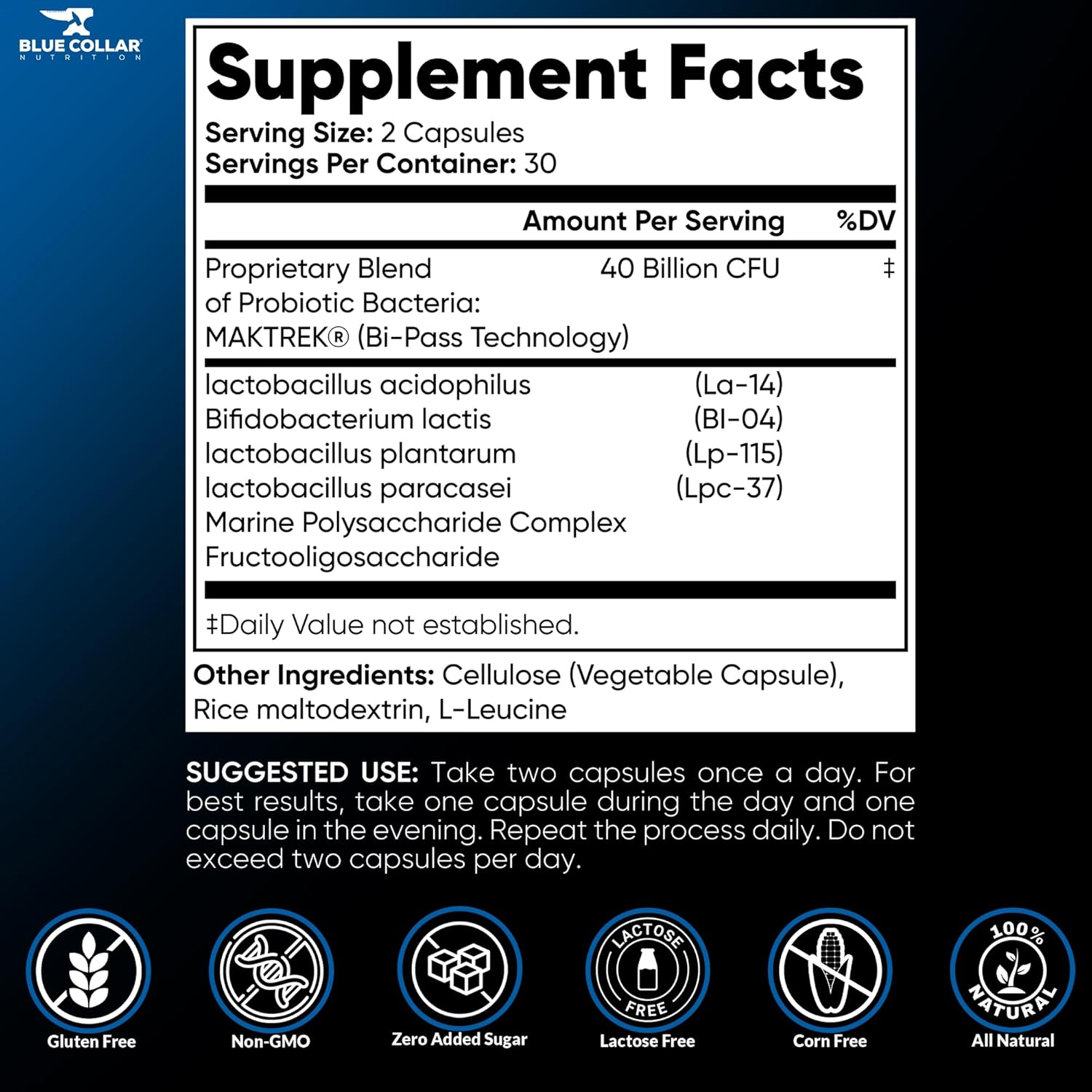 40 Billion CFU Probiotic Supplement for Digestive Health - Blue Collar Nutrition Biotics for Men & Women - 60 Capsules