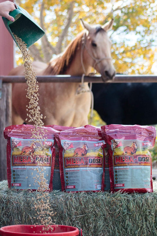 40 lb Equine Vitamin Mineral with Full Serving of Horse Guard Supplement & Hoof Guard - Mega Dose