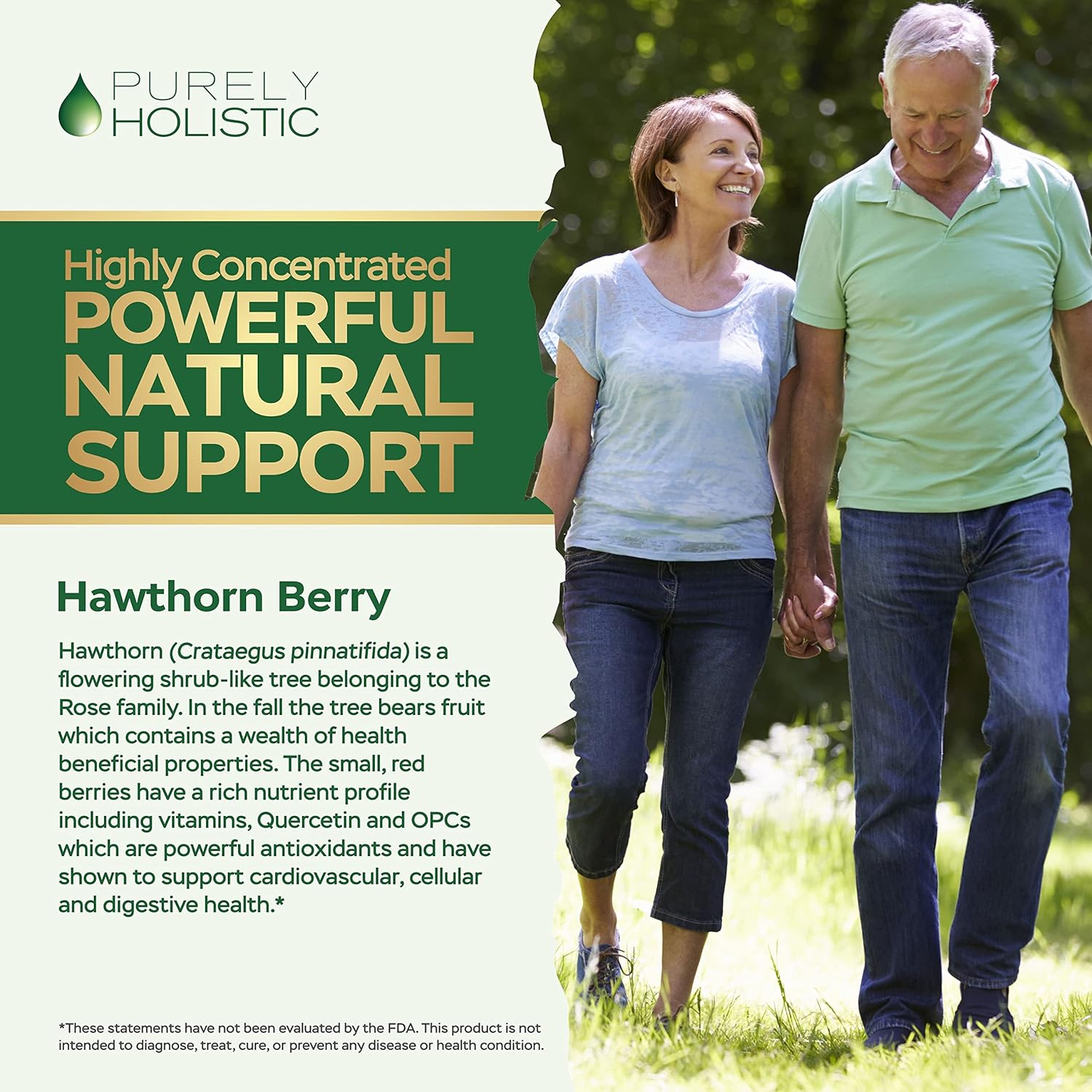 400 Vegan Capsules of Purely Holistic Grape Seed Extract and Hawthorn Berry Bundle - 400mg + 665mg - USA Made