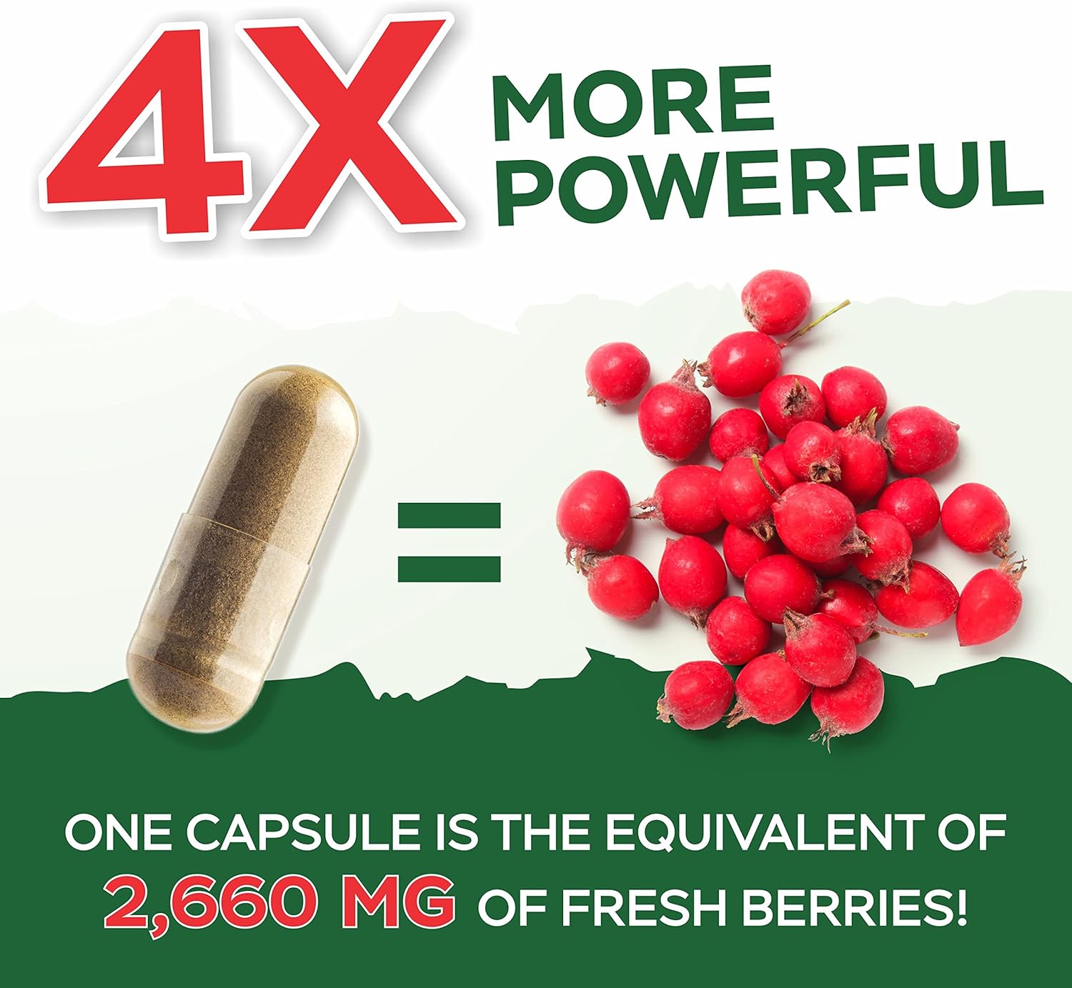 400 Vegan Capsules of Purely Holistic Grape Seed Extract and Hawthorn Berry Bundle - 400mg + 665mg - USA Made