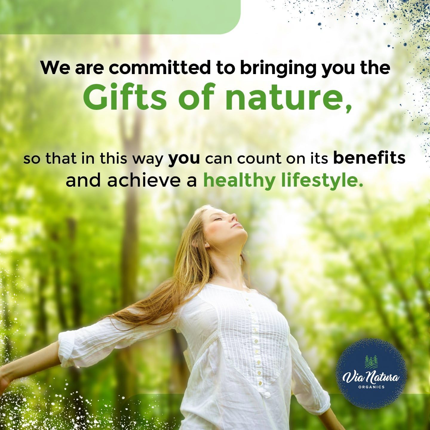 400mg CoQ10 Ubiquinone Supplement by Via Natura Organics - 60 Capsules