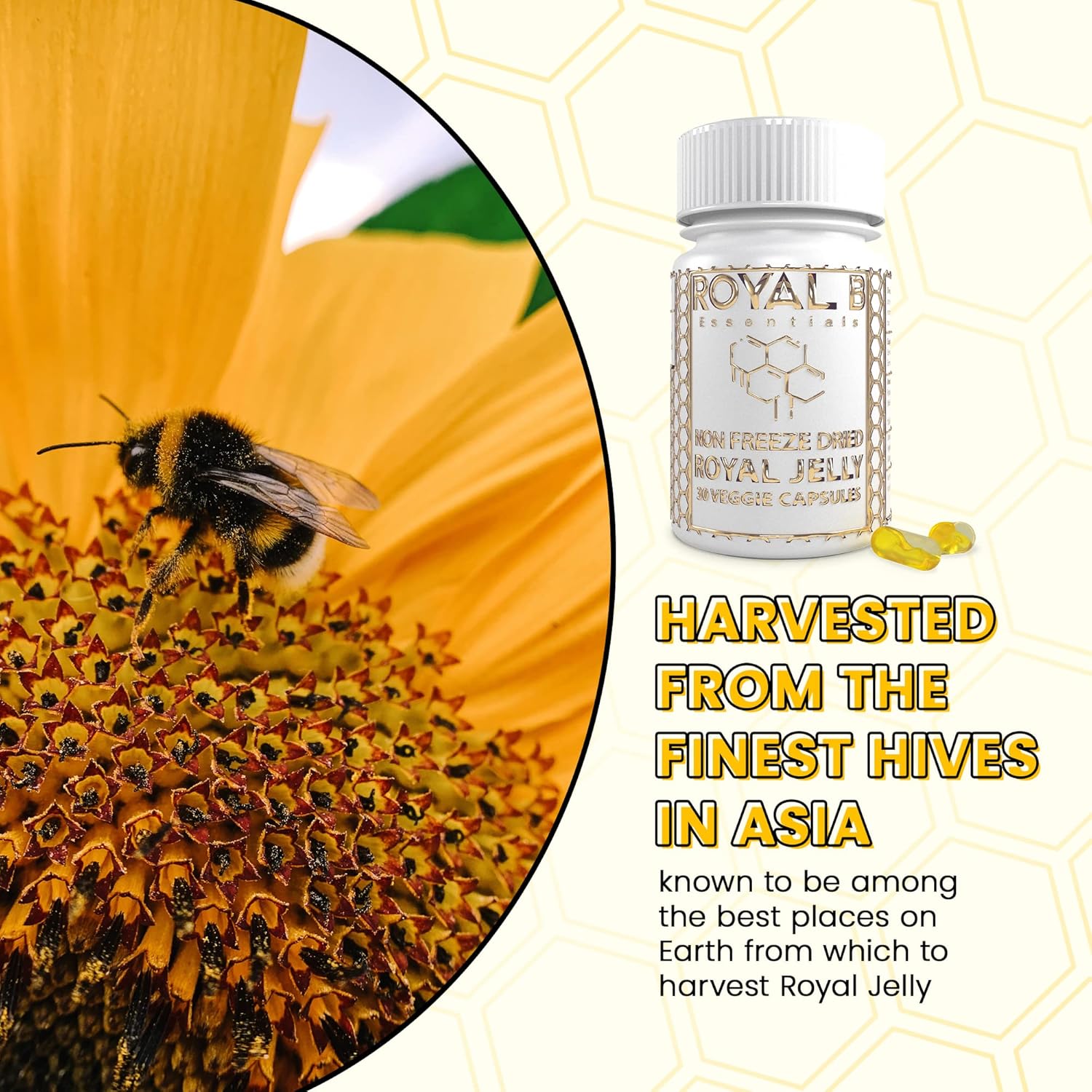 4,500mg Ultra-Premium Royal Jelly in Vegan Capsules | 100% Natural Nootropic for Immune Support, Energy & Brain Health