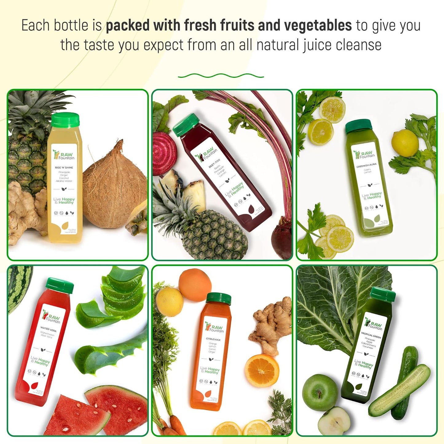 5 Day Tropical Juice Cleanse by Raw Fountain - All Natural Raw, Cold Pressed Fruit and Vegetable Juices - Detox Cleanse - 30 Bottles 12oz - Includes 5 Bonus Ginger Shots