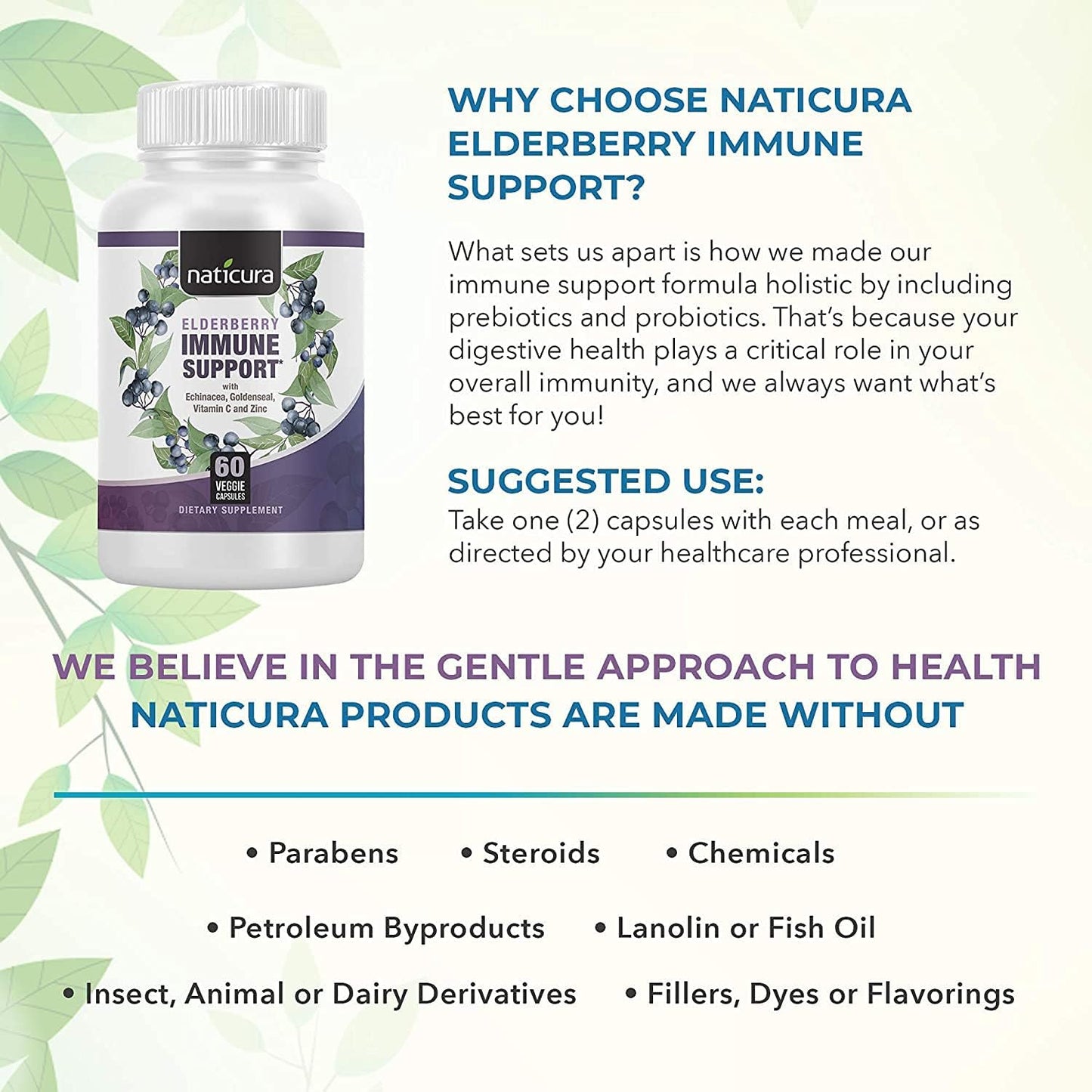 5-in-1 Elderberry Immune Support Supplement for Men and Women - 60 Capsules with Vitamin C, Zinc, Goldenseal, Echinacea, Prebiotics, and Probiotics - Made in USA