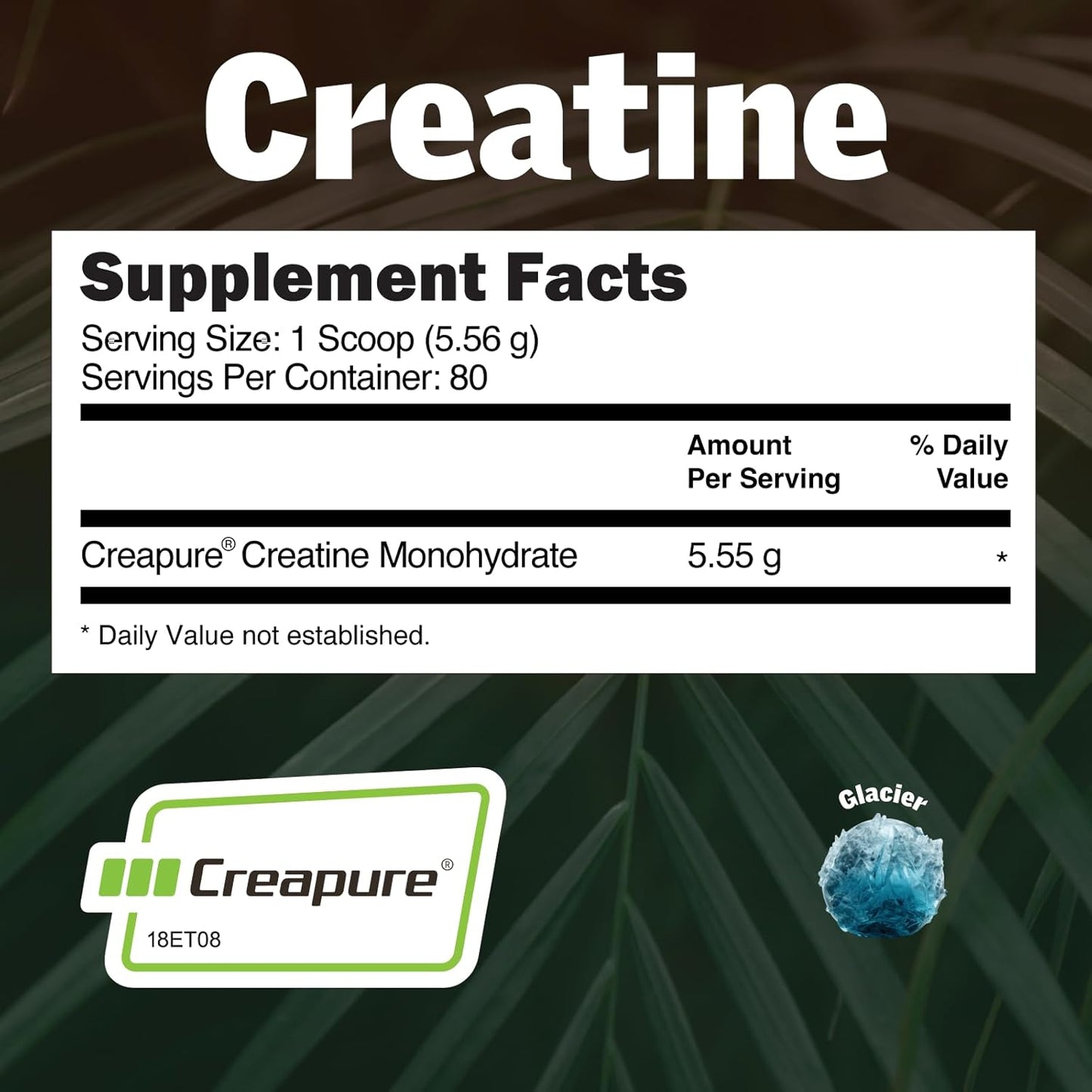 50 Servings of EarthNutri Pure Creatine with Creapure® Monohydrate for Optimal Performance