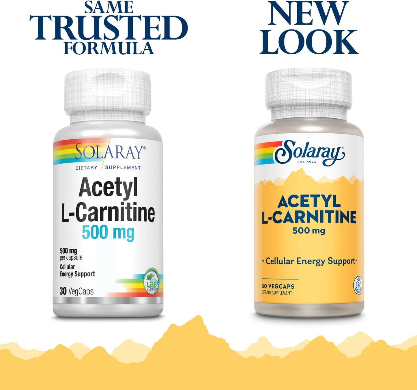 500 mg Solaray Acetyl L-Carnitine VegCaps for Energy, Memory, Mood, and Cardiovascular Health