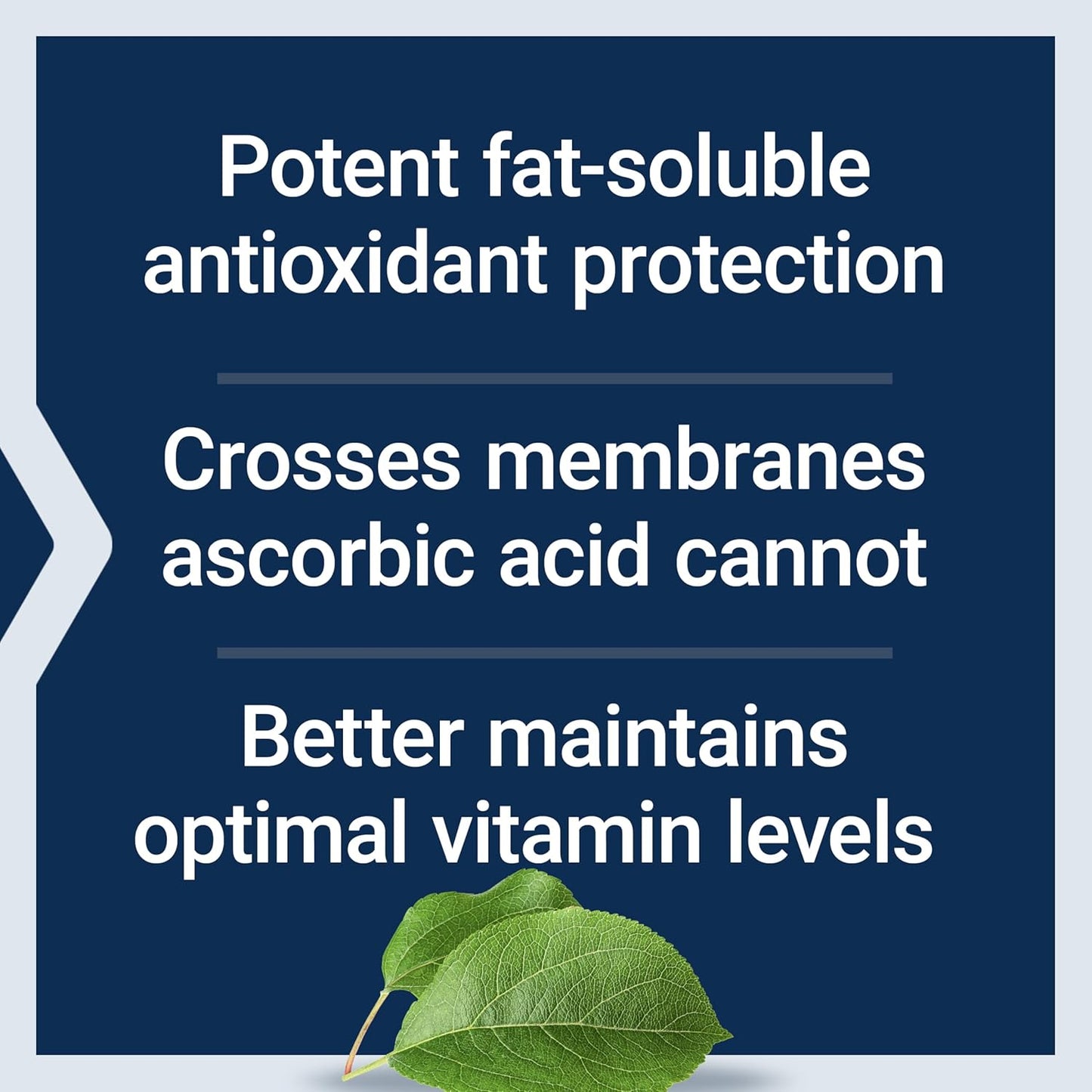 500mg Ascorbyl Palmitate: Immune Support & Longevity Supplement - 100 Capsules, Water-Soluble, Gluten-Free, Non-GMO