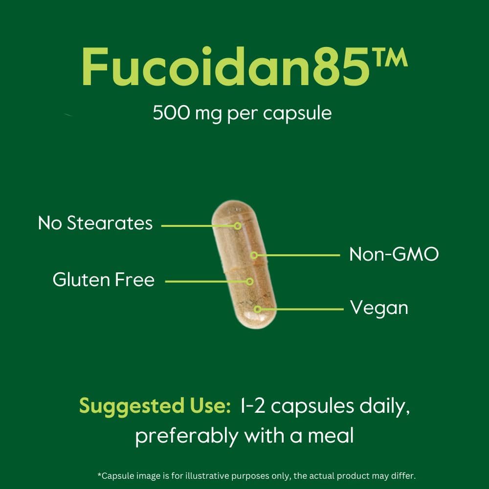 500mg Fucoidan Extract Capsules - 85% Standardized Fucoidan - 120 Vegetarian Capsules - No Fillers
