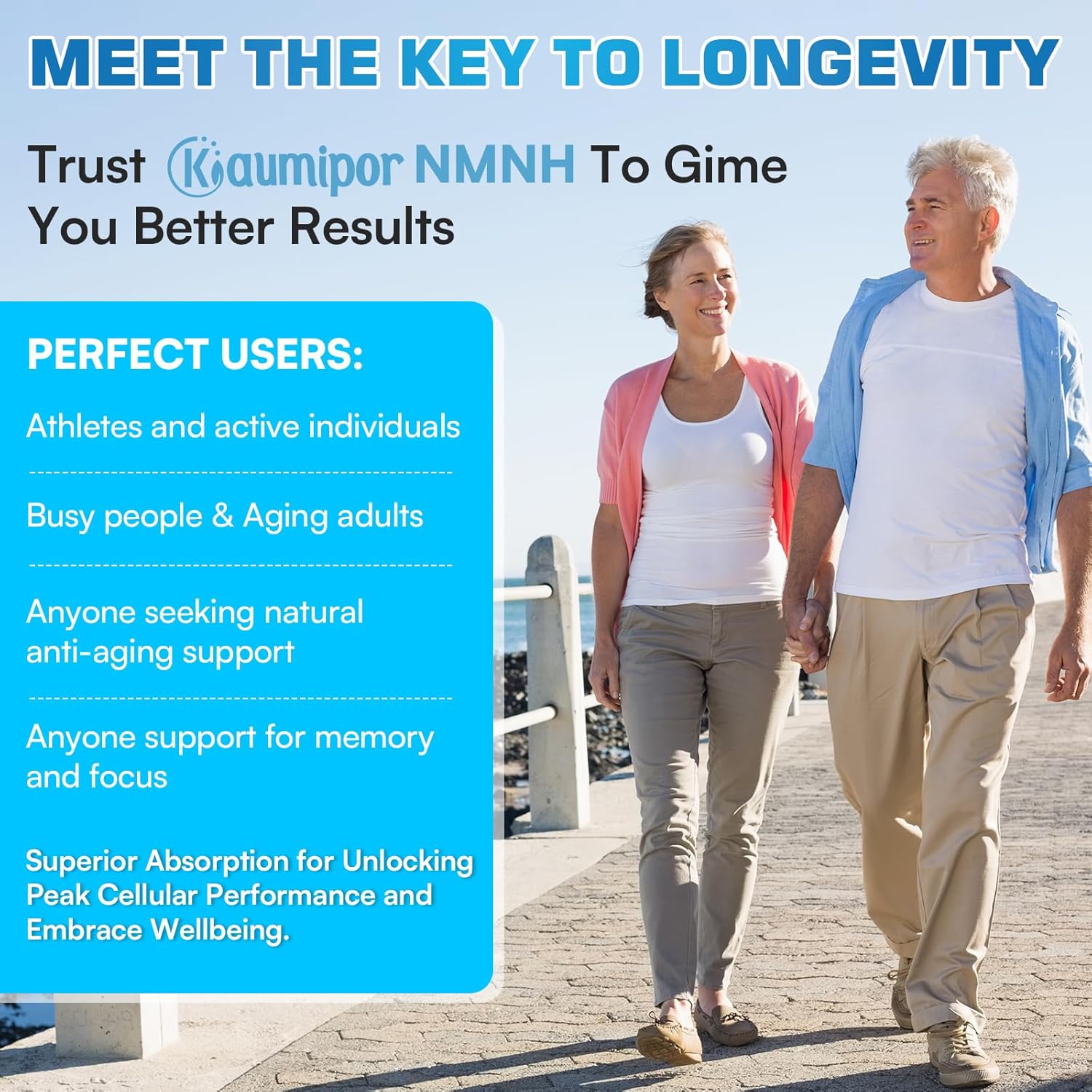 500MG Kaumipor NMNH (Dihydronicotinamide Mononucleotide) - 2 Month Supply NAD Supplement for Anti Aging, Energy, Immunity, Focus - 480 Capsules