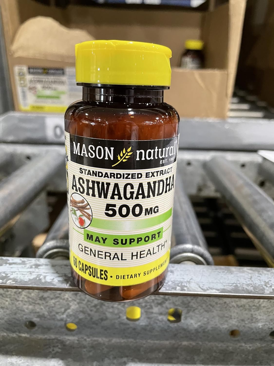 500mg Mason Natural Ashwagandha: Herbal Stress & Energy Support Supplement, 60 Day Supply