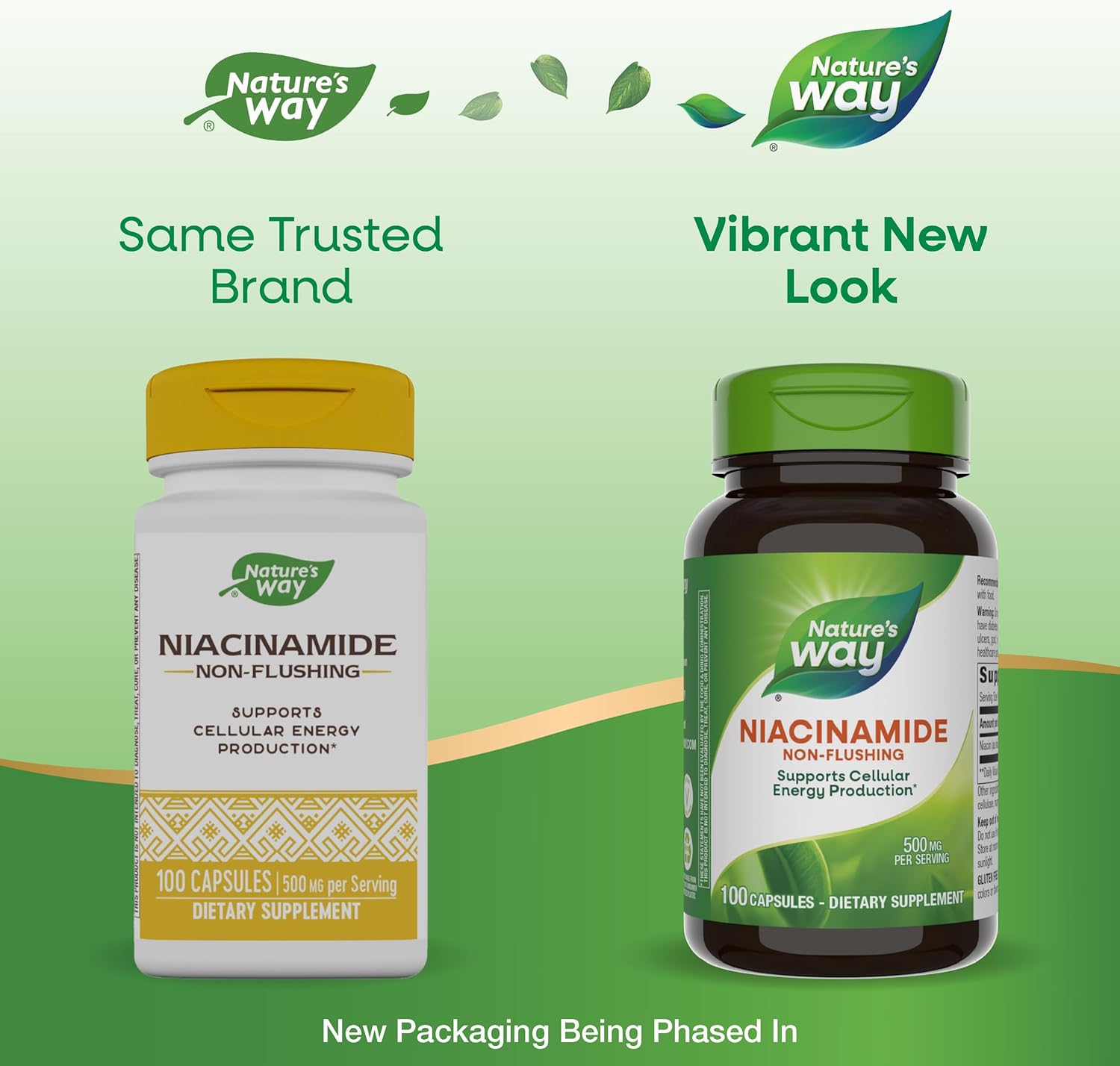 500mg Nature's Way Niacinamide Capsules for Cellular Energy Support