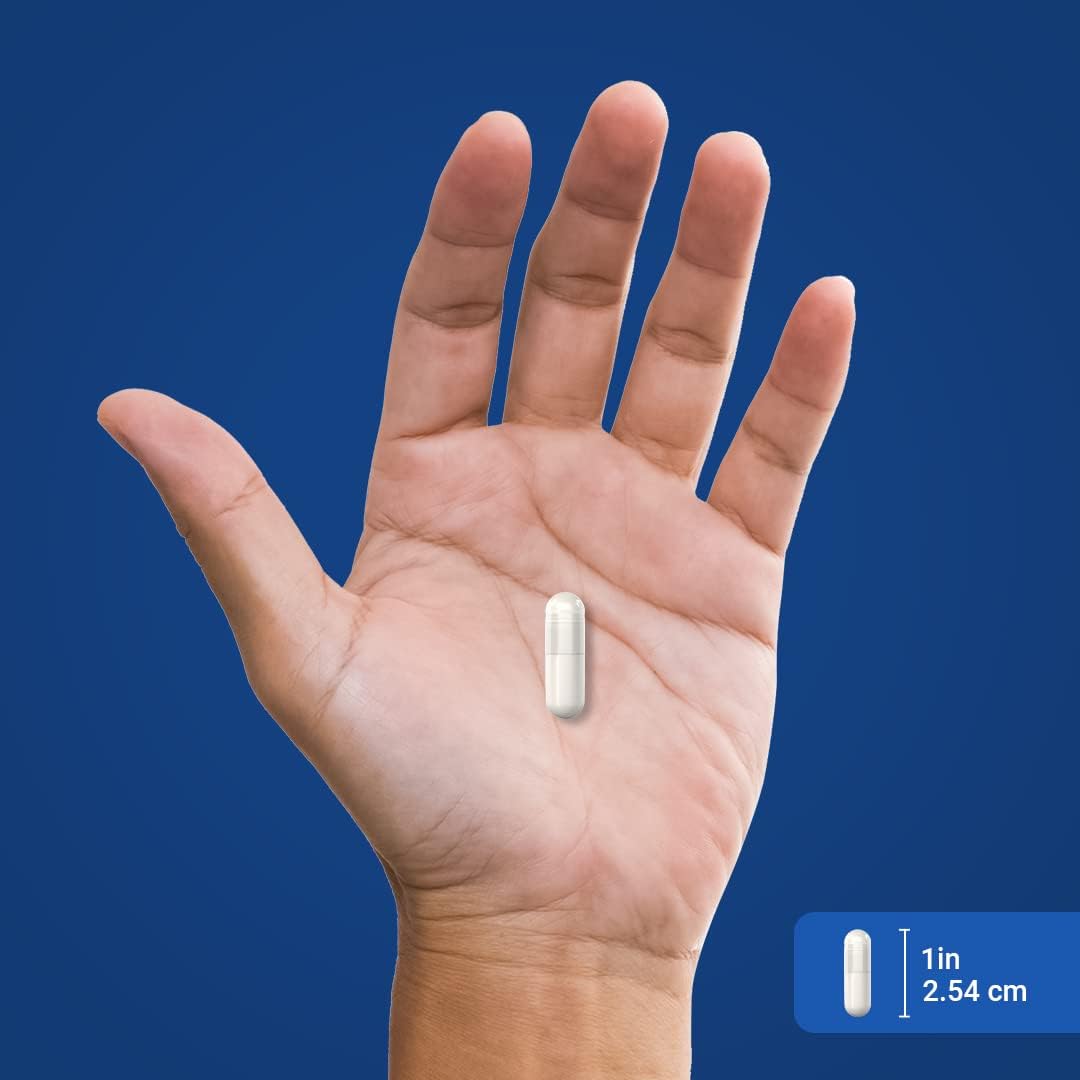 500mg Niacin Capsules | Flush-Free Formula | 240 Count | Vitamin B3 Supplement | Non-GMO & Gluten-Free