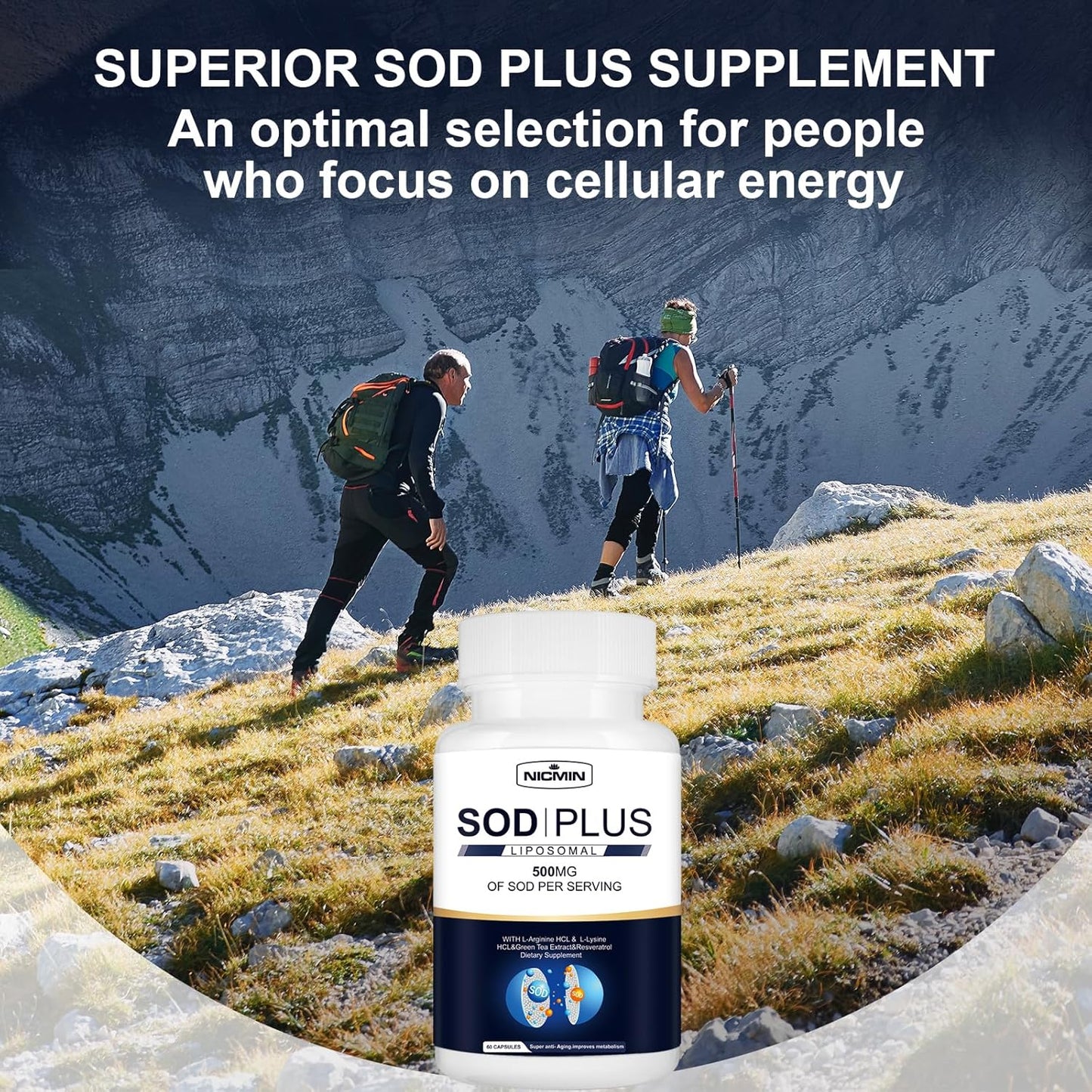 500mg NICMIN Superoxide Dismutase Supplement - Immune Support Antioxidant with Glutathione, Green Tea, Resveratrol (60 Capsules)