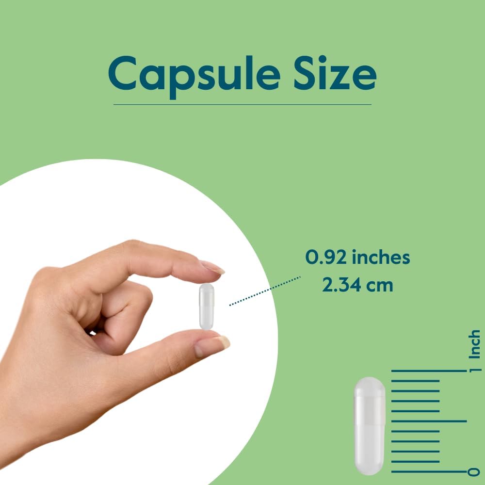 500mg Pantothenic Acid (Vitamin B5) Capsules - 240 Count - Vegetarian, Vegan, Non-GMO, Gluten-Free - No Stearates, Gelatin, or Calcium Silicate