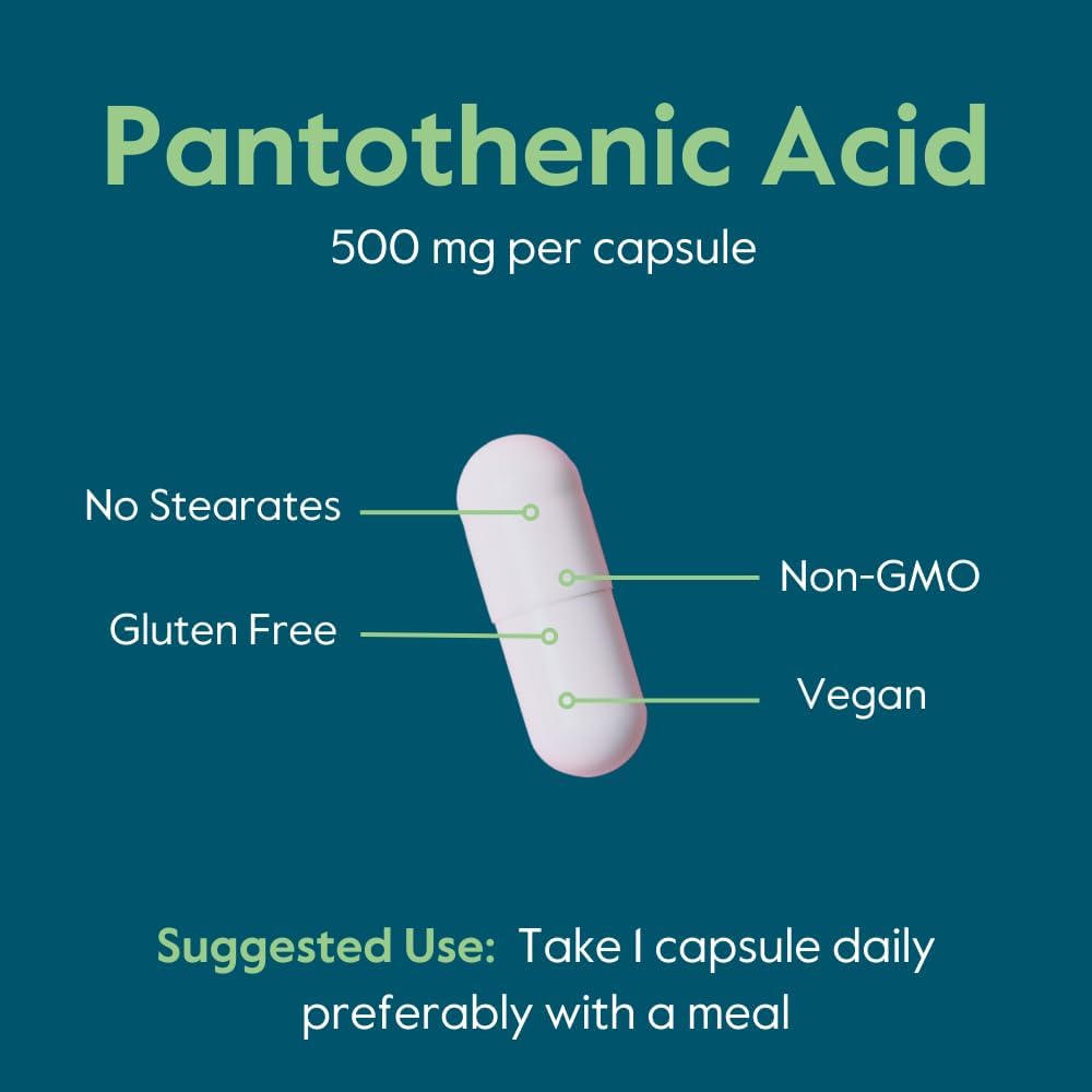 500mg Pantothenic Acid (Vitamin B5) Capsules - 240 Count - Vegetarian, Vegan, Non-GMO, Gluten-Free - No Stearates, Gelatin, or Calcium Silicate