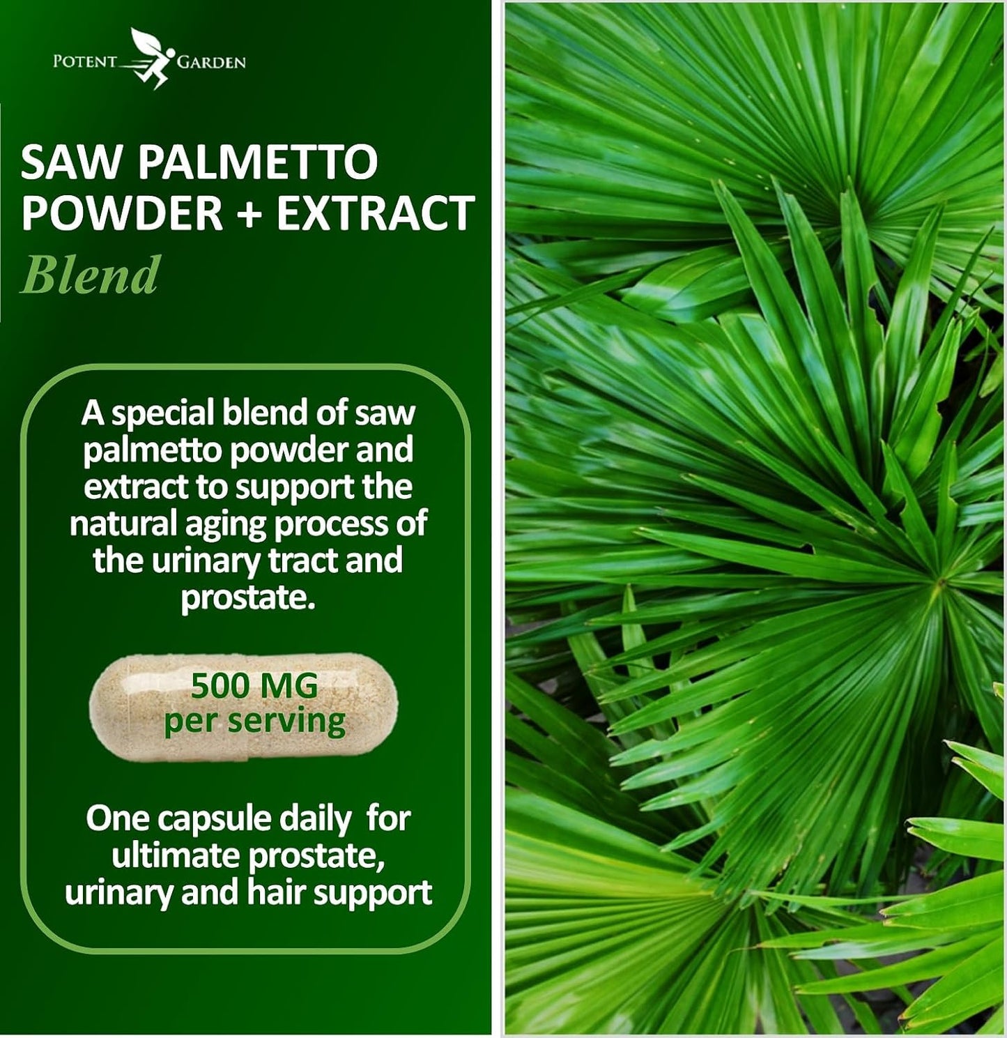 500mg Saw Palmetto Capsules for Men - Promotes Healthy Urination & Prostate Function - Non-GMO Supplement - 100 Capsules