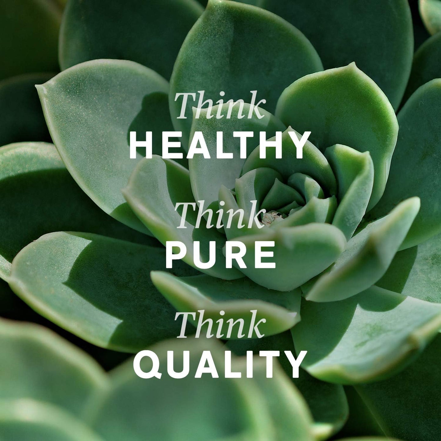 6 Fl Oz Nature's Sunshine Silver Shield Liquid | Immune Support Colloidal Silver with Aqua Sol Technology for Protection